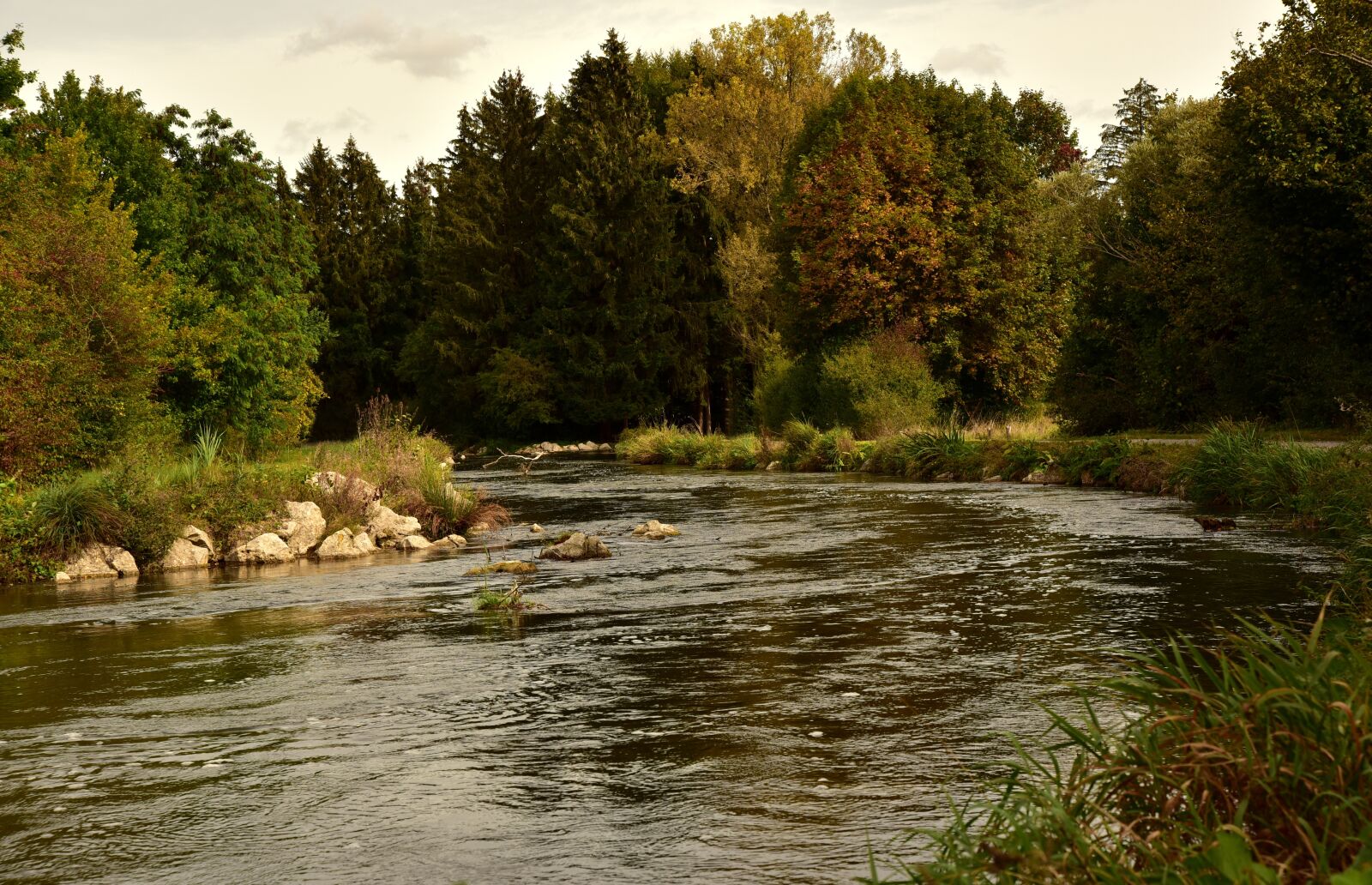 Nikon D750 sample photo. River, bach, water photography