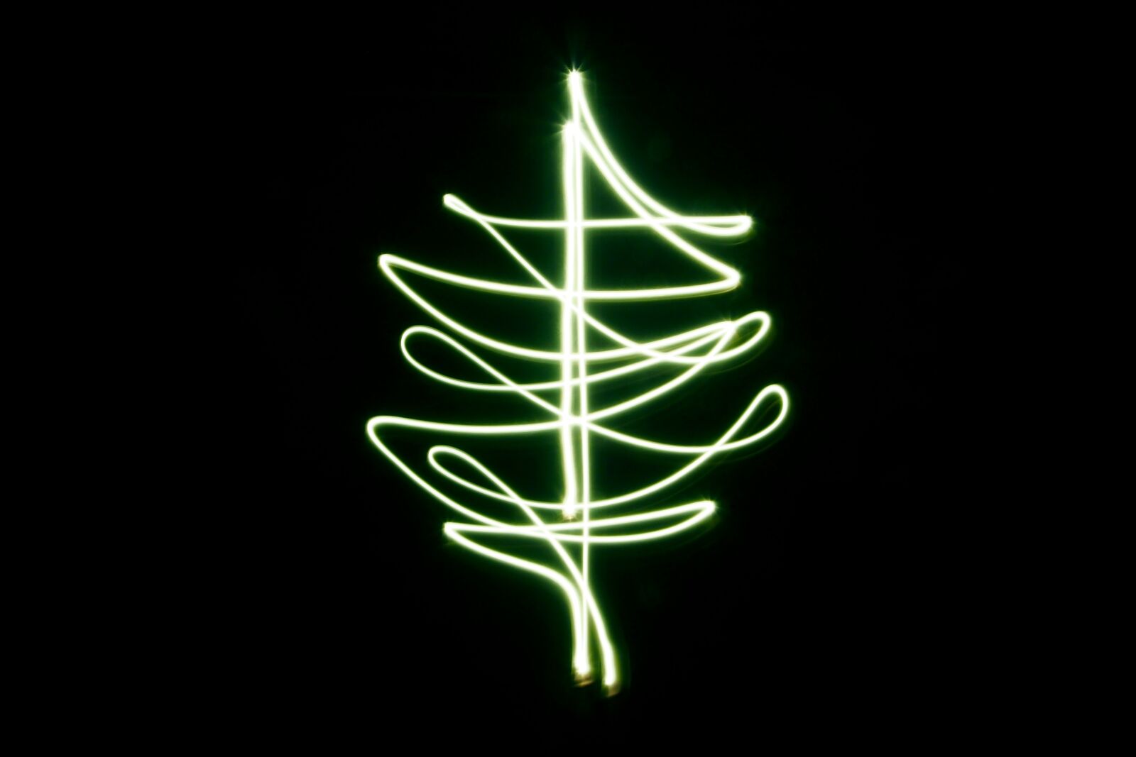 Olympus OM-D E-M5 sample photo. Christmas, green, light, light photography