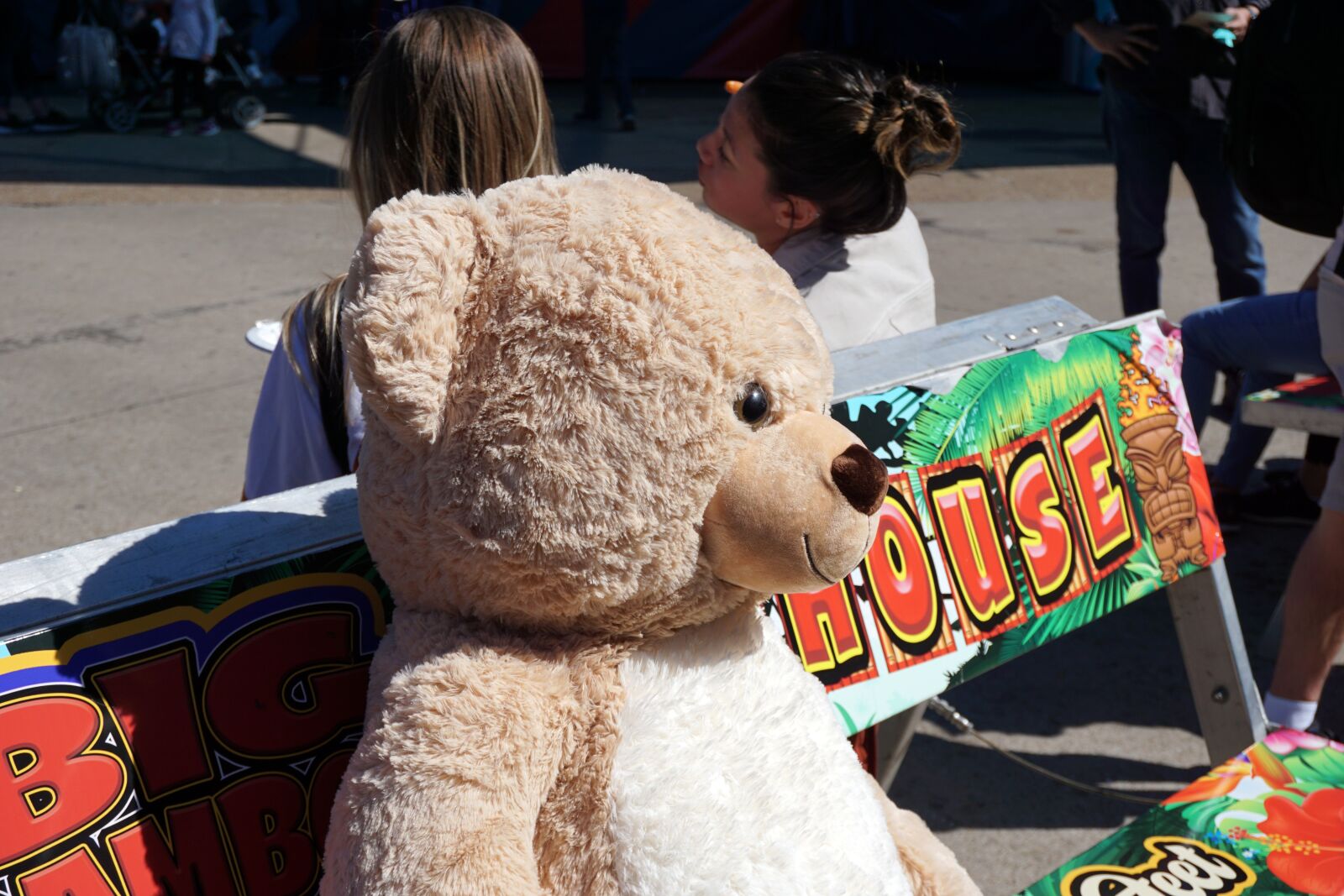 Sony a6000 sample photo. Stuffed bear, giant, bench photography
