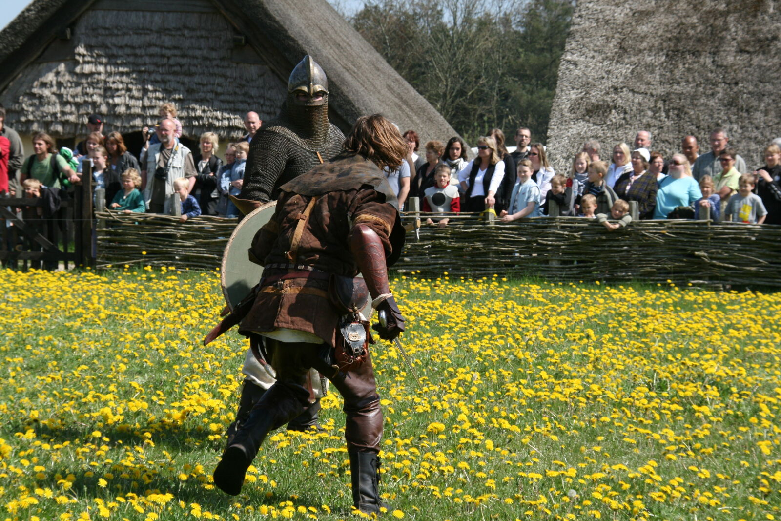 Sigma 18-200mm f/3.5-6.3 DC OS sample photo. Vikings photography