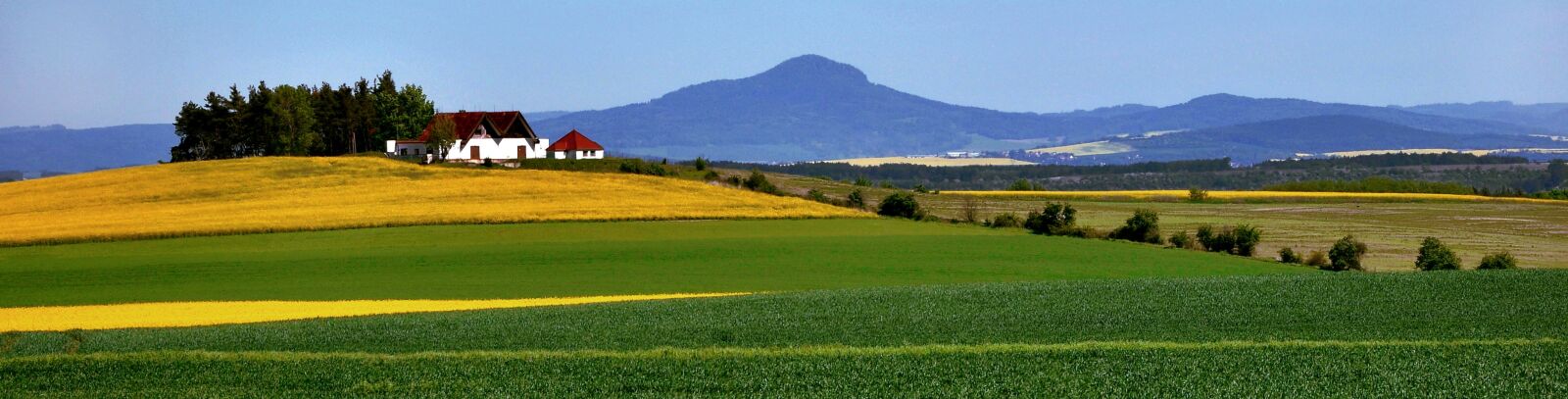 Nikon D90 sample photo. Landscape, rapeseed, czech republic photography