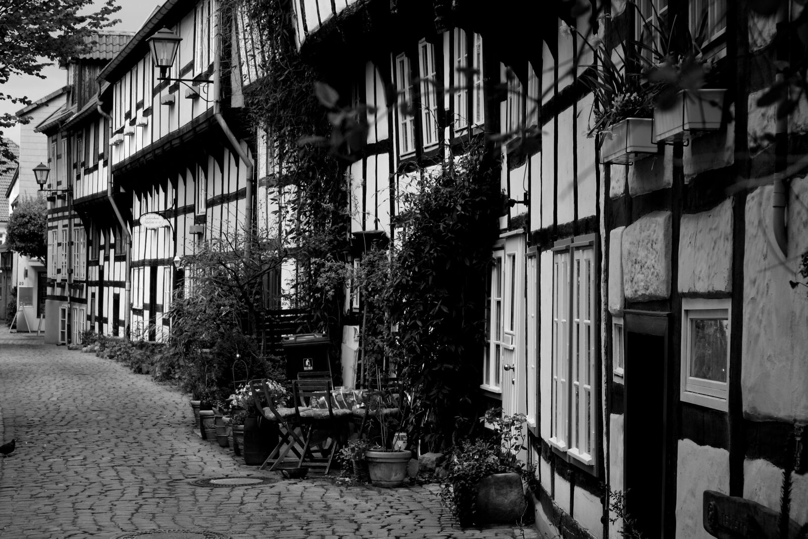 Canon EOS 1000D (EOS Digital Rebel XS / EOS Kiss F) sample photo. Alley, road, detmold photography