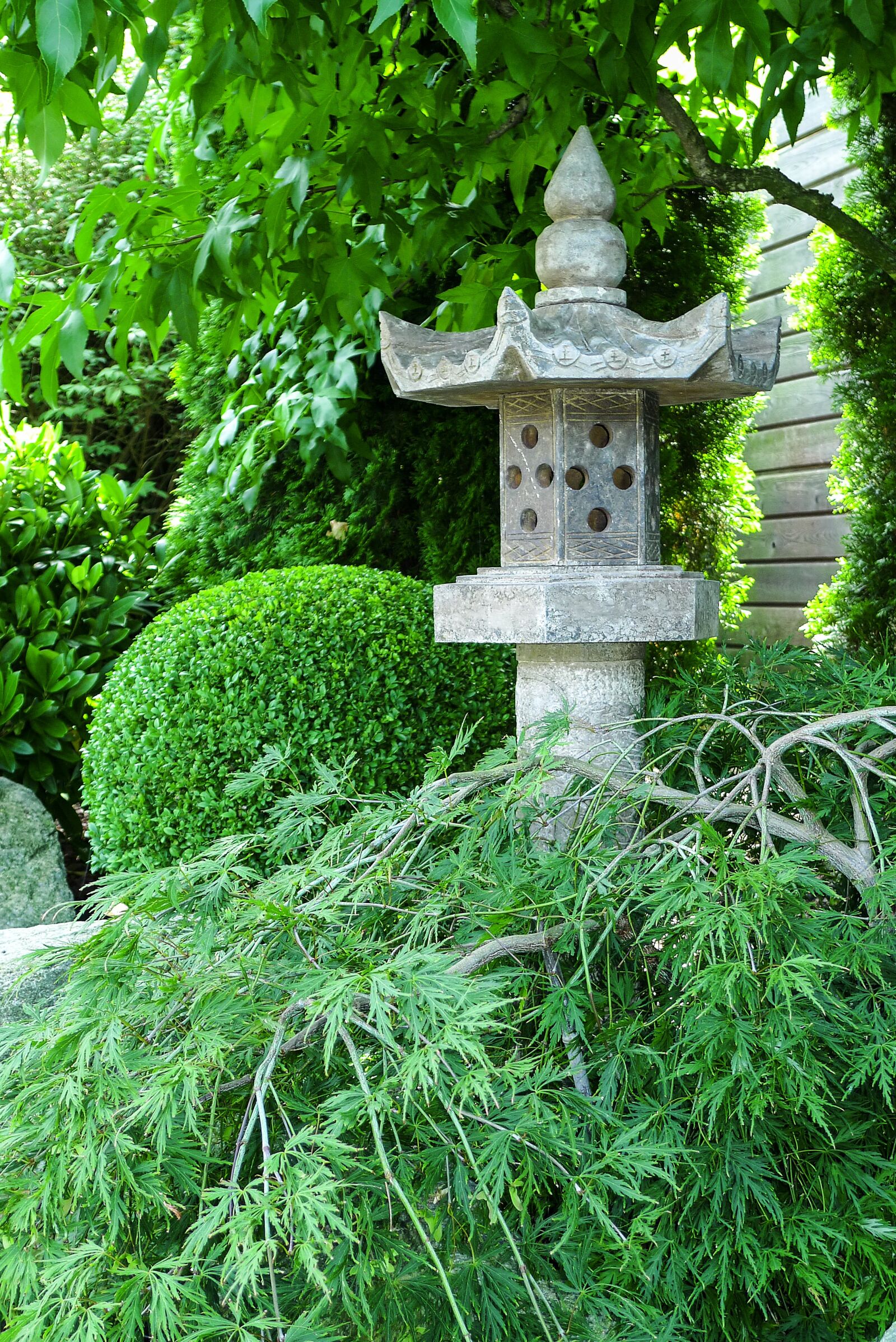 Leica D-LUX 4 sample photo. Stone lantern, garden, maple photography