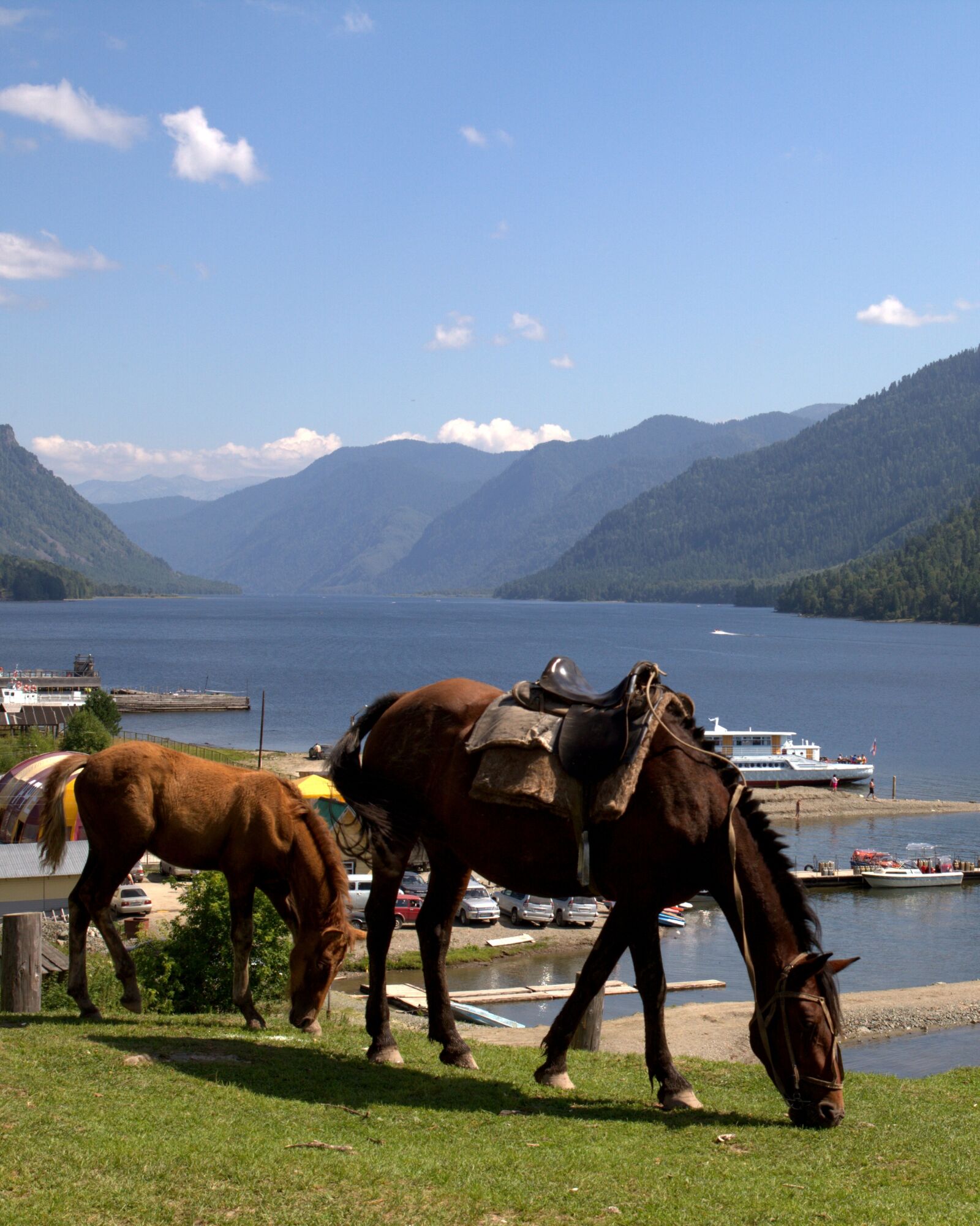 Canon EOS 7D sample photo. Horses, teletskoye, altai photography