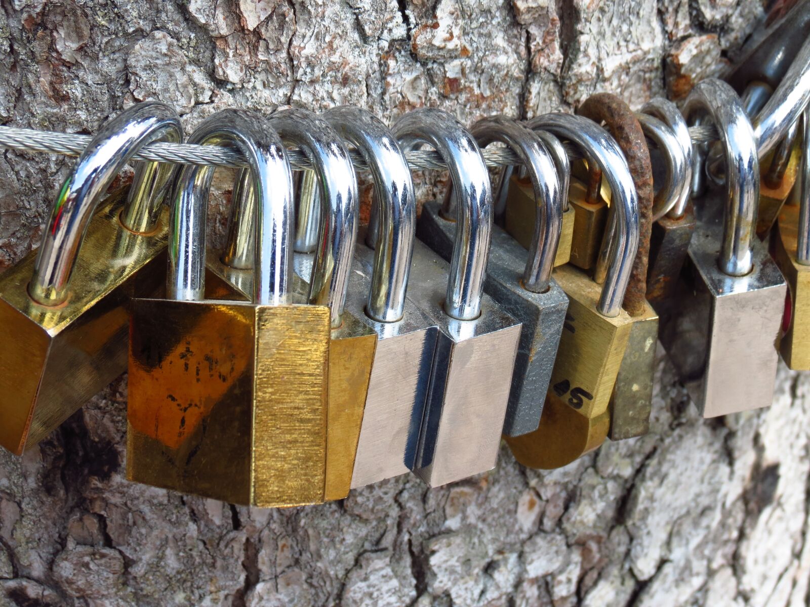 Canon PowerShot SX40 HS sample photo. Love locks, love tree photography