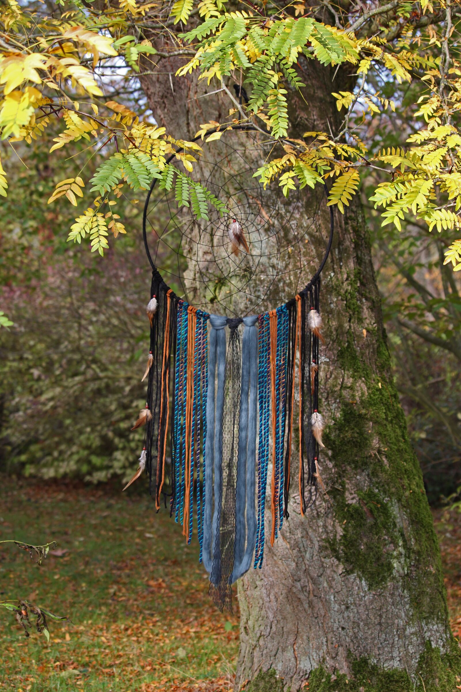 Canon EF-S 55-250mm F4-5.6 IS STM sample photo. Dream catcher, arboretum, old photography
