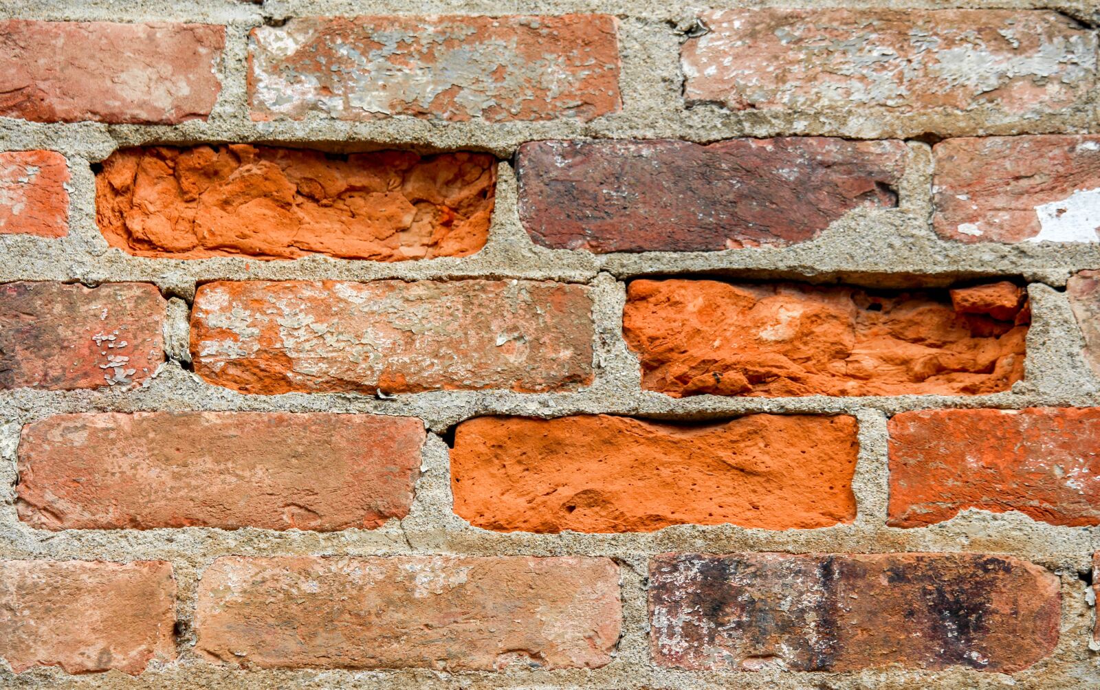 Canon EOS 700D (EOS Rebel T5i / EOS Kiss X7i) sample photo. Brick, wall, cement photography