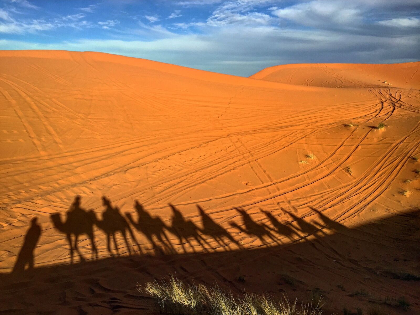 Apple iPhone 6 sample photo. Camels, morocco, desert photography