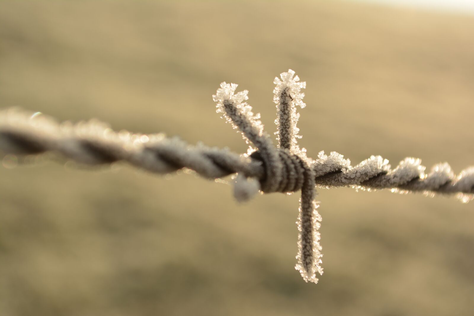 Nikon D5200 sample photo. Barbed wire, frost, winter photography