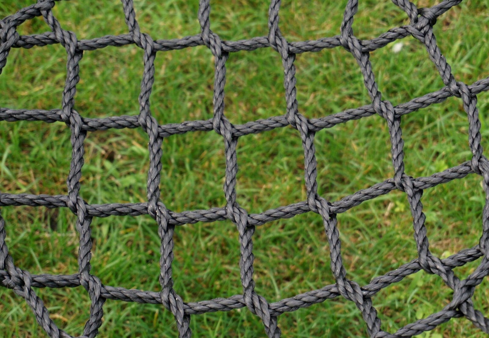 Sony a6000 sample photo. Web, swing, hammock photography