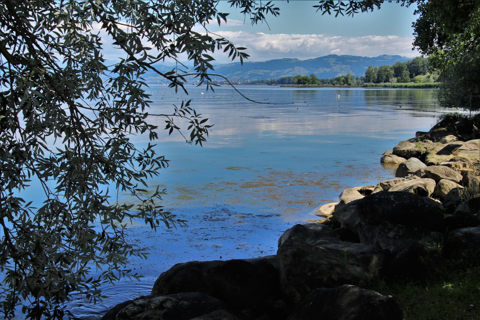 Canon EOS 80D sample photo. Lake, bodensee, beach photography