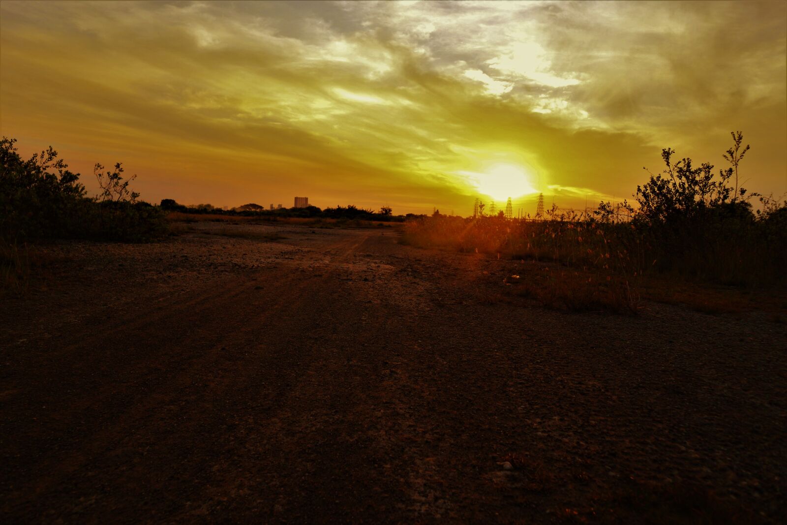Canon EF-M 15-45mm F3.5-6.3 IS STM sample photo. Grass, evening, sunset photography