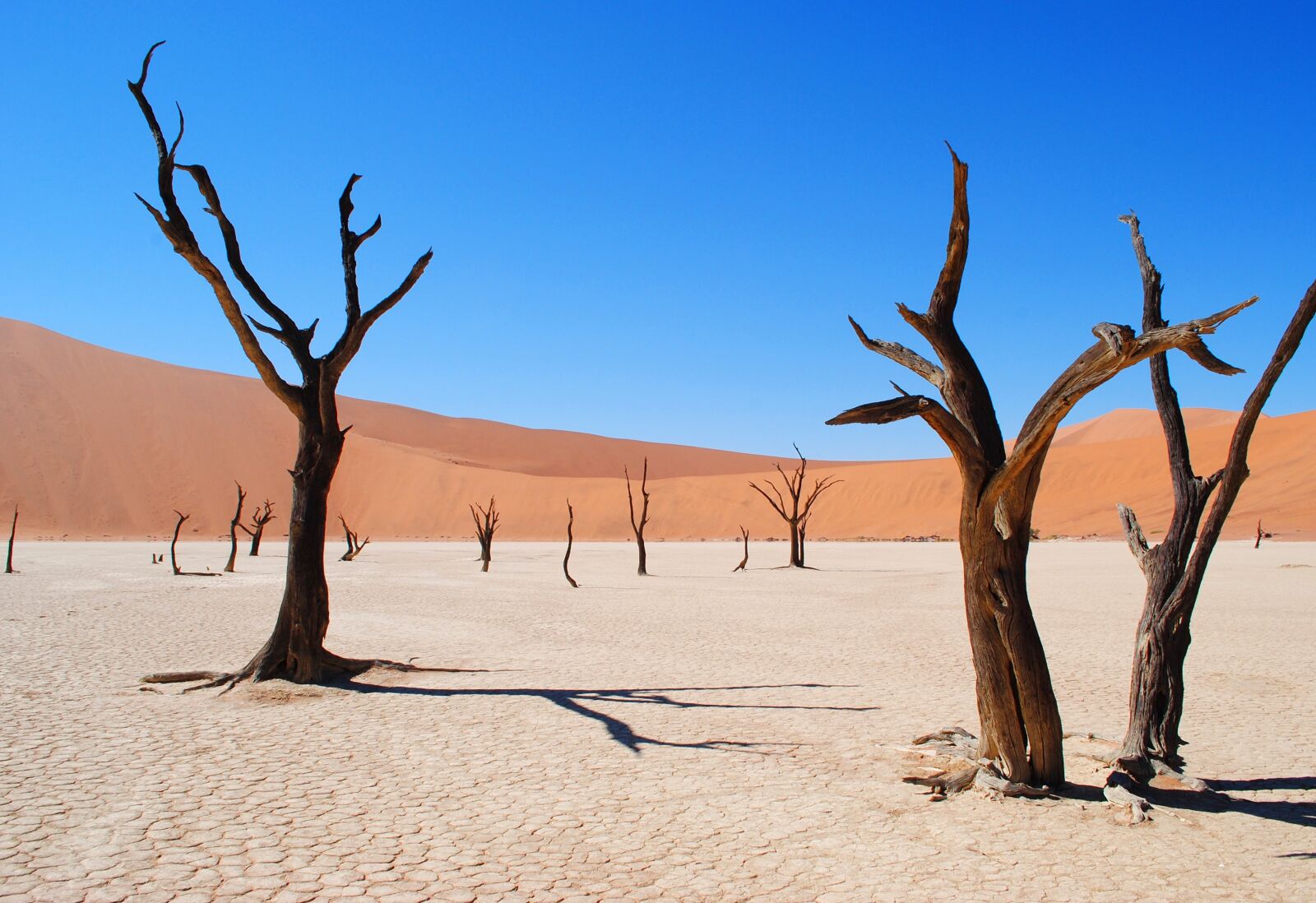 Nikon D3000 sample photo. Deadvlei, namibia, africa photography