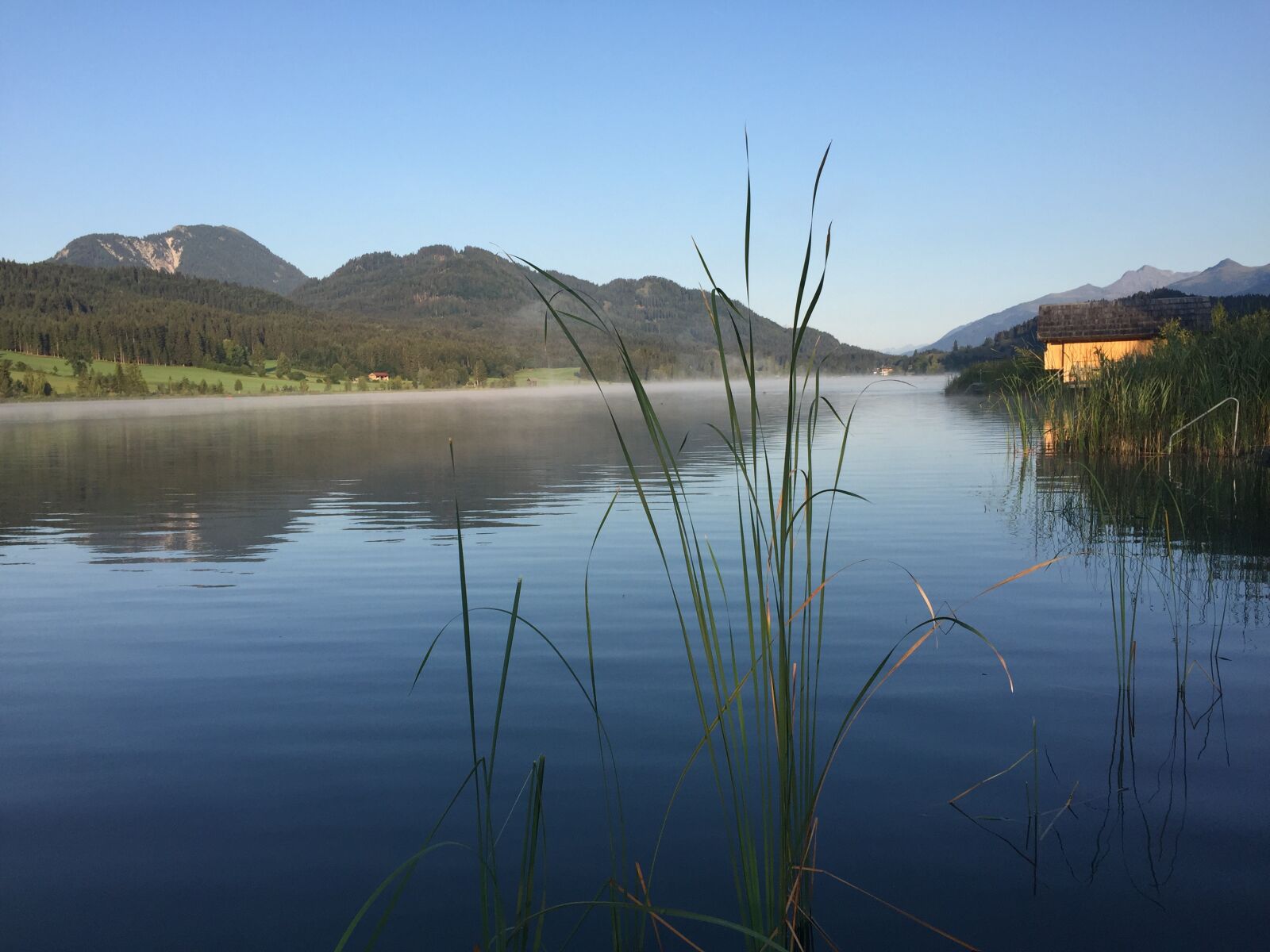 iPhone 6 back camera 4.15mm f/2.2 sample photo. Morning mist, wake up photography