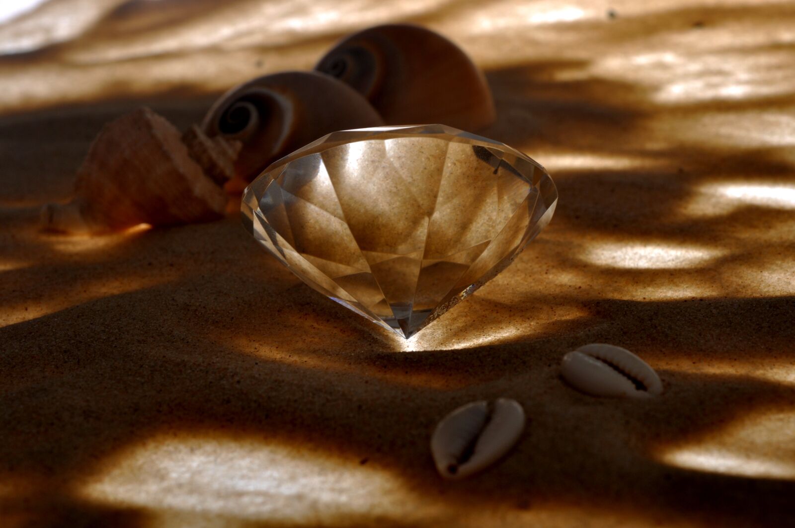 Nikon D90 sample photo. Beach, beautiful, closeup photography