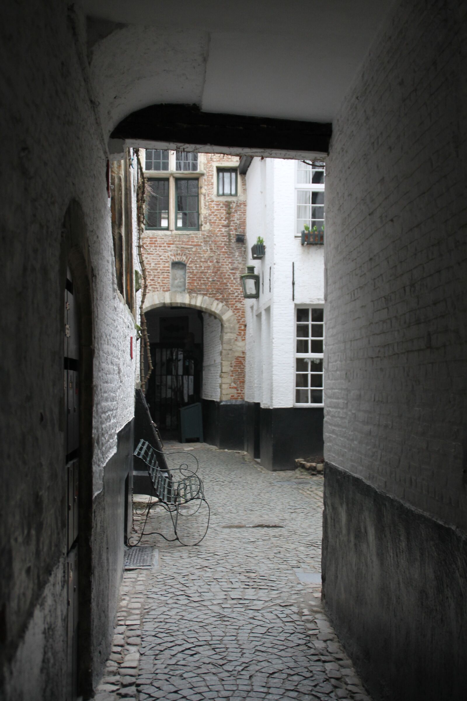Canon EOS 1100D (EOS Rebel T3 / EOS Kiss X50) sample photo. Antwerp, vlaekensgang, rose photography