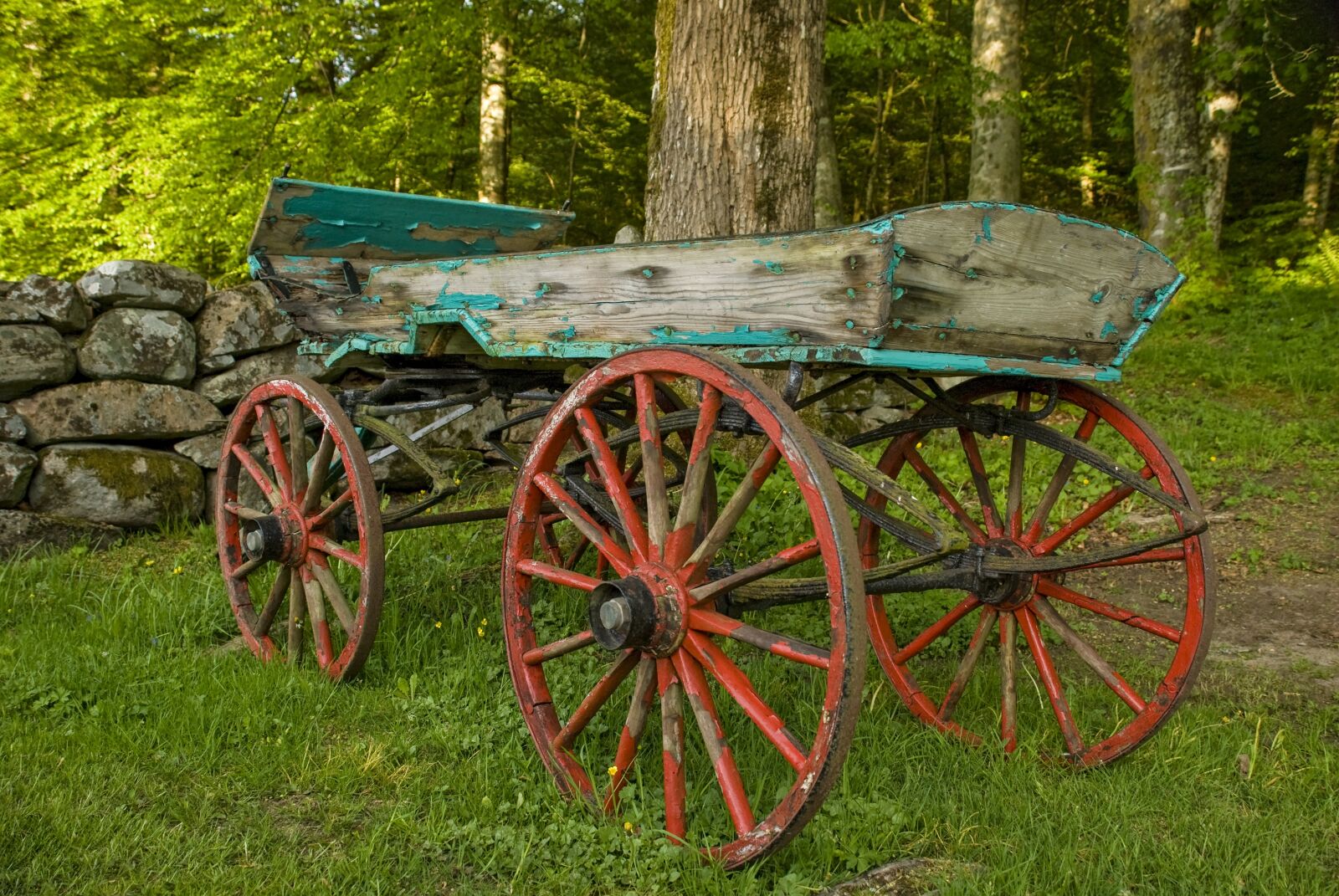 Nikon D80 sample photo. Cart, old wood, flaking photography