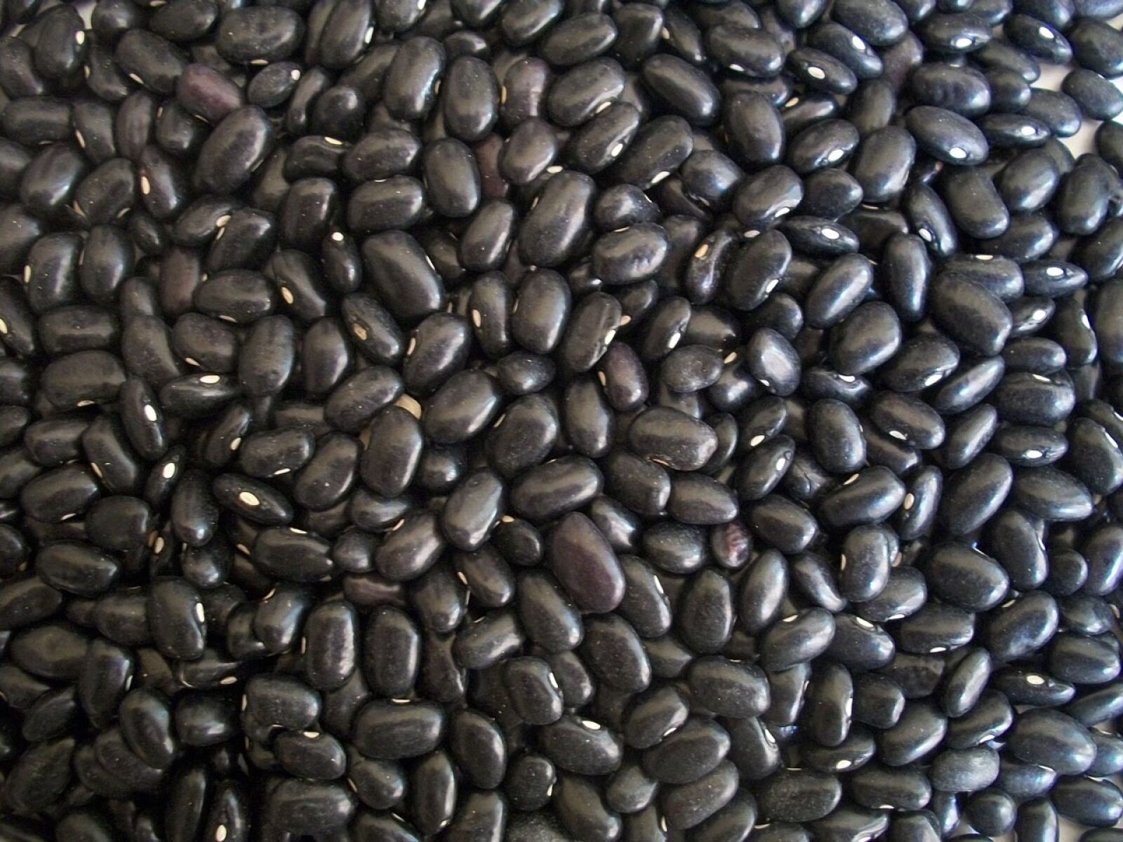 Kodak EASYSHARE M340 DIGITAL CAMERA sample photo. Black beans, beans, dried photography