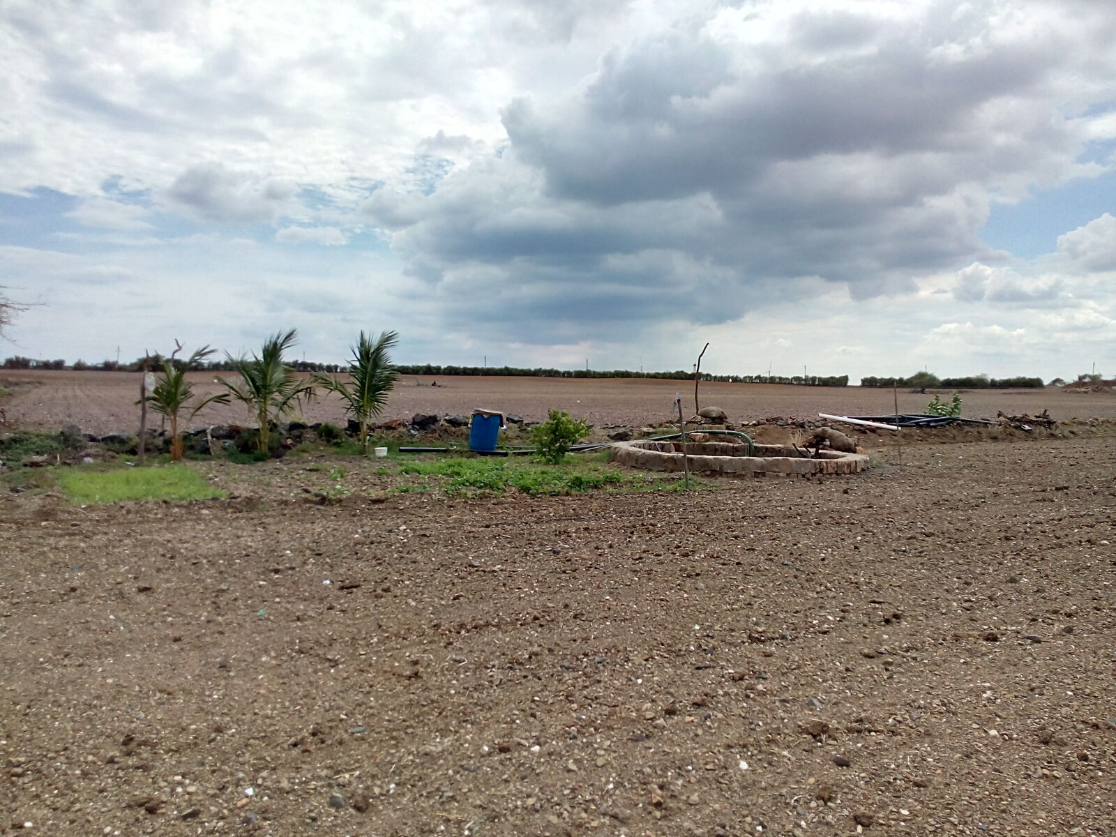 Micromax Canvas Spark sample photo. Farm photography
