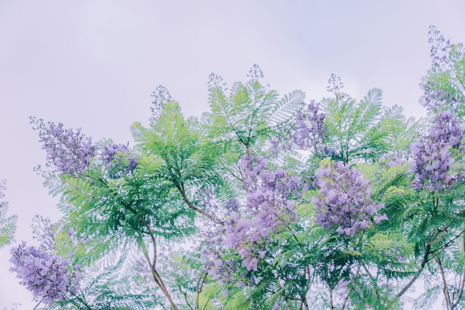 Nikon D700 sample photo. Travel, landscape, nature photography