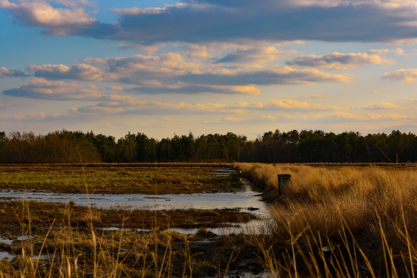 Nikon D5200 sample photo. Water, nature, landscape photography