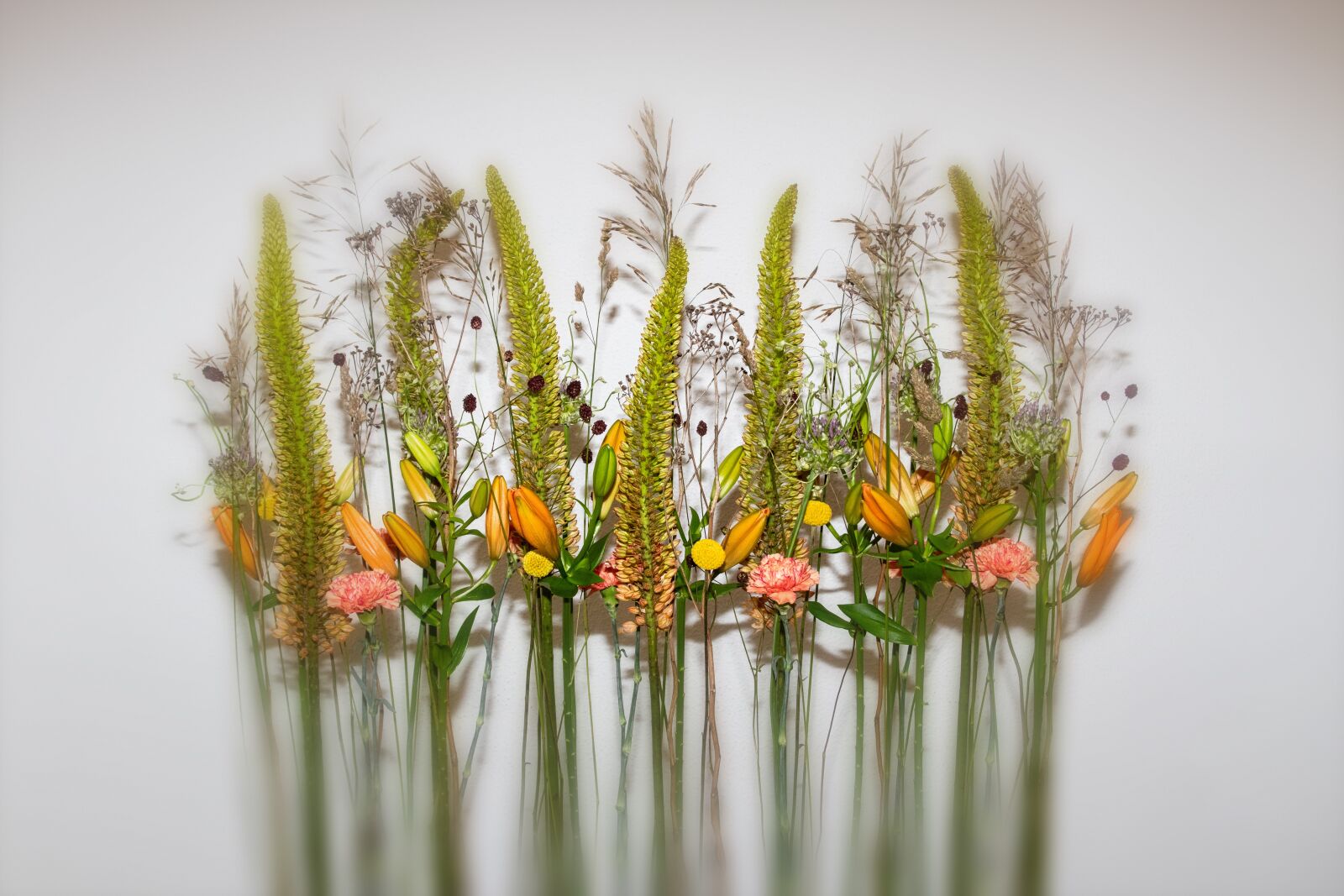Canon EOS 80D sample photo. Floral arrangement, plant, ornamental photography