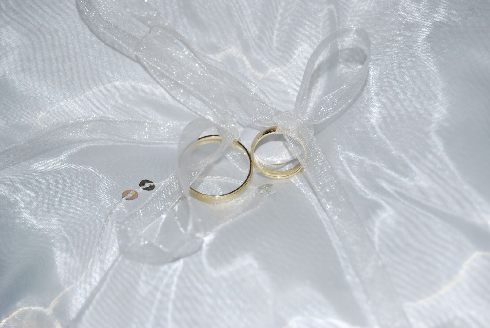 Nikon D60 sample photo. Wedding, rings, romance photography