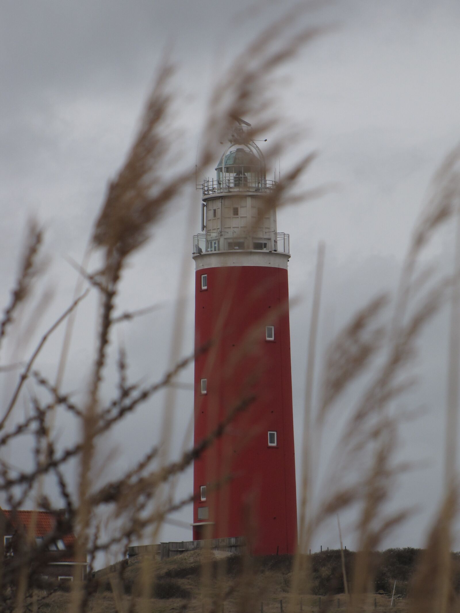 Canon PowerShot SX10 IS sample photo. Lighthouse, texel, wind photography