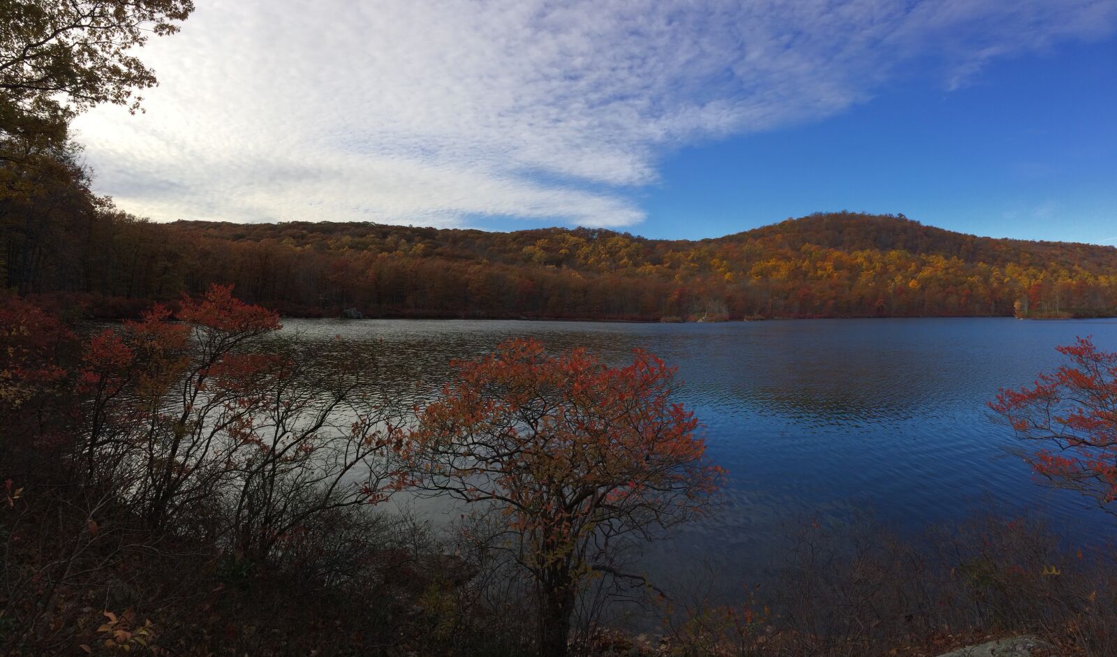 iPhone 5s back camera 4.15mm f/2.2 sample photo. Landscape, panoramic, foliage photography