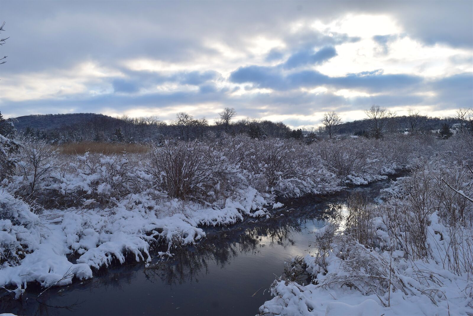 Nikon D3300 sample photo. Snow, winter, cold photography