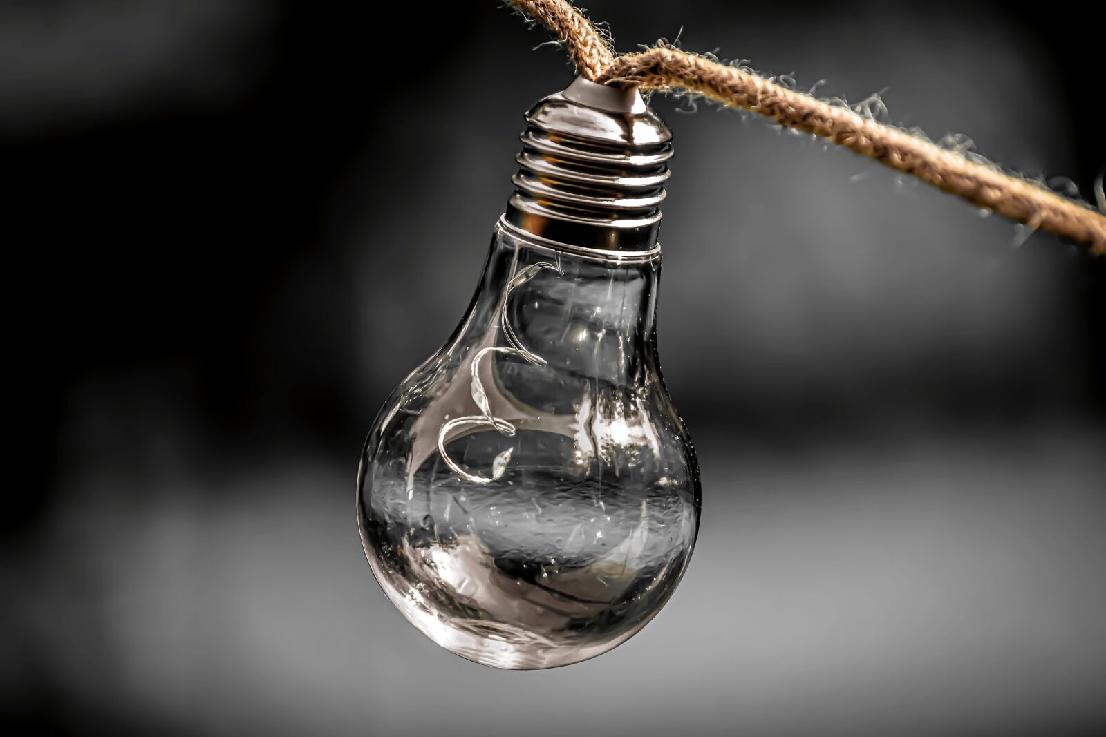 Nikon D7200 sample photo. Light bulb, energy, nature photography