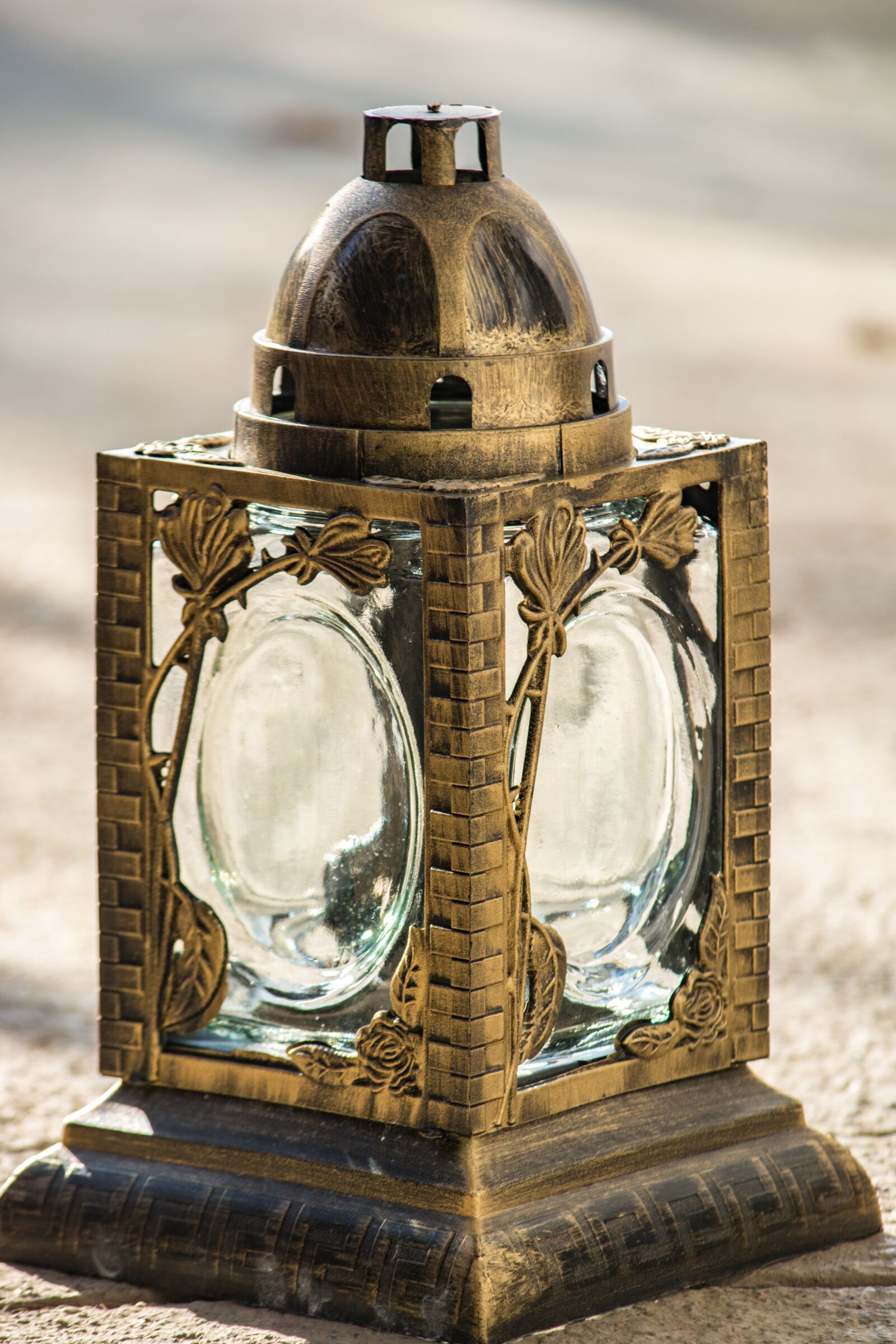Nikon D5200 sample photo. Lantern, macro, close up photography