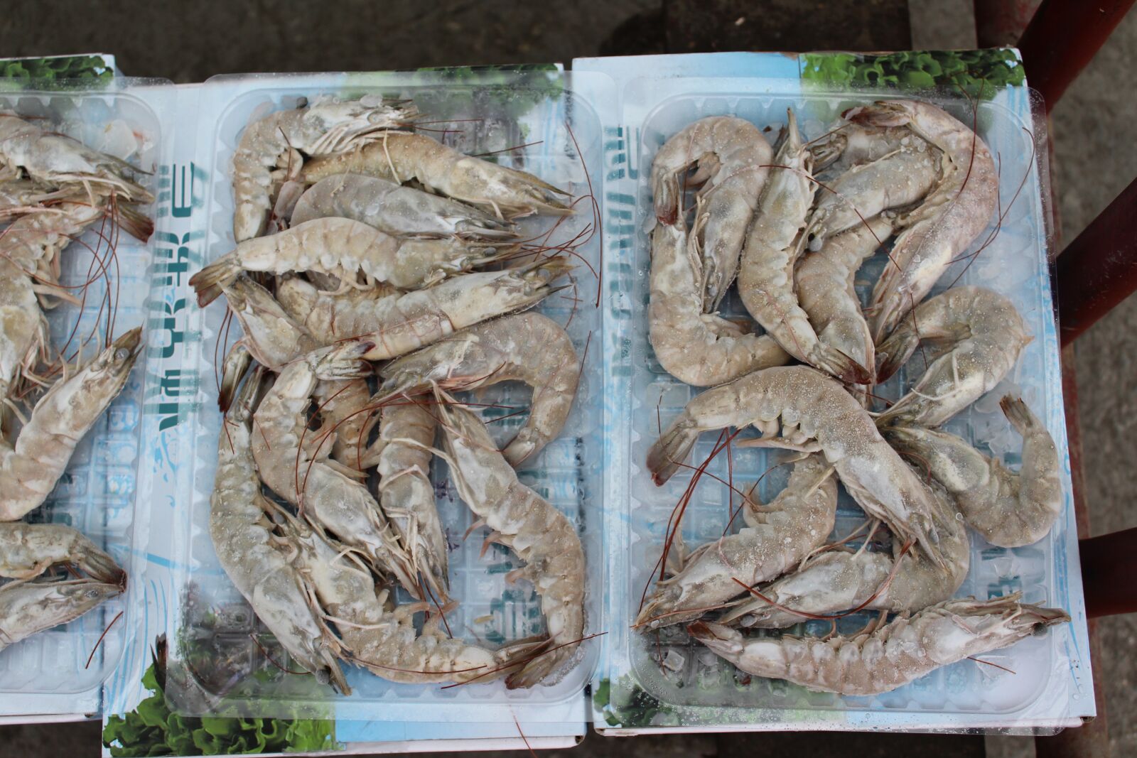 Canon EOS 1300D (EOS Rebel T6 / EOS Kiss X80) sample photo. Shrimp, prawns, frozen shrimp photography