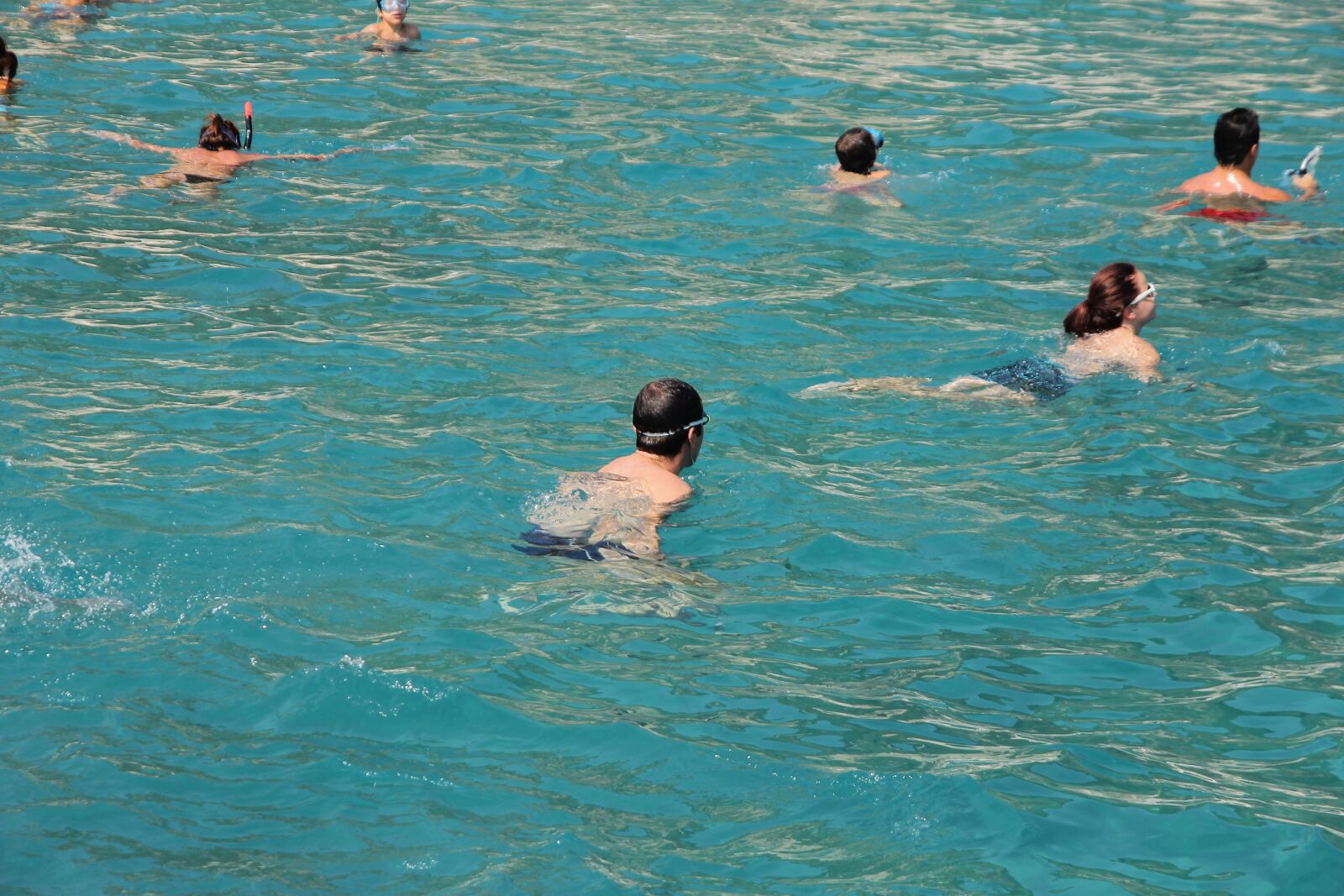 Canon EOS 550D (EOS Rebel T2i / EOS Kiss X4) + Sigma 17-70mm F2.8-4 DC Macro OS HSM sample photo. Swimming, swimmer, swimming pool photography