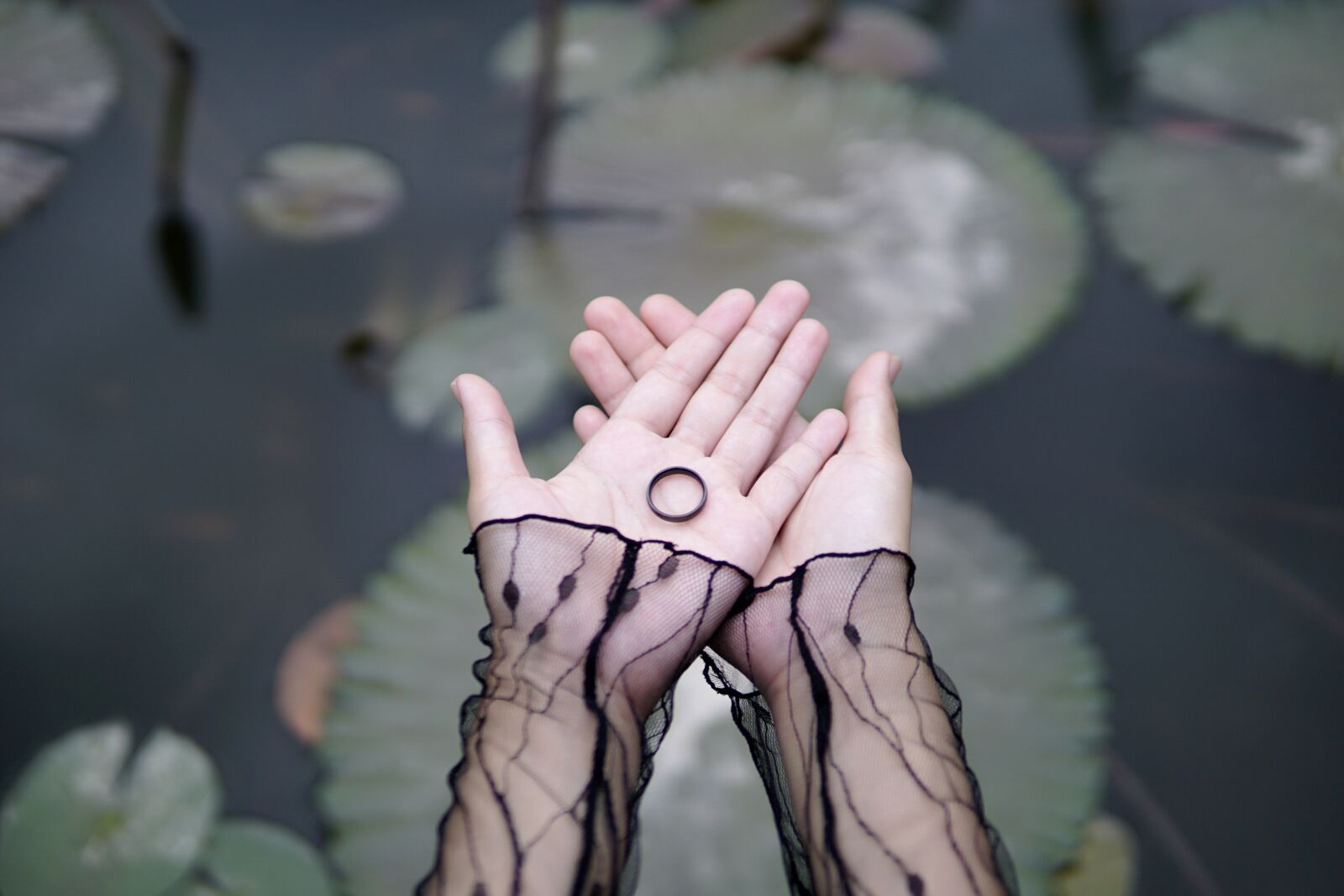 30mm F1.4 DC DN | Contemporary 016 sample photo. Hand, ring, women photography