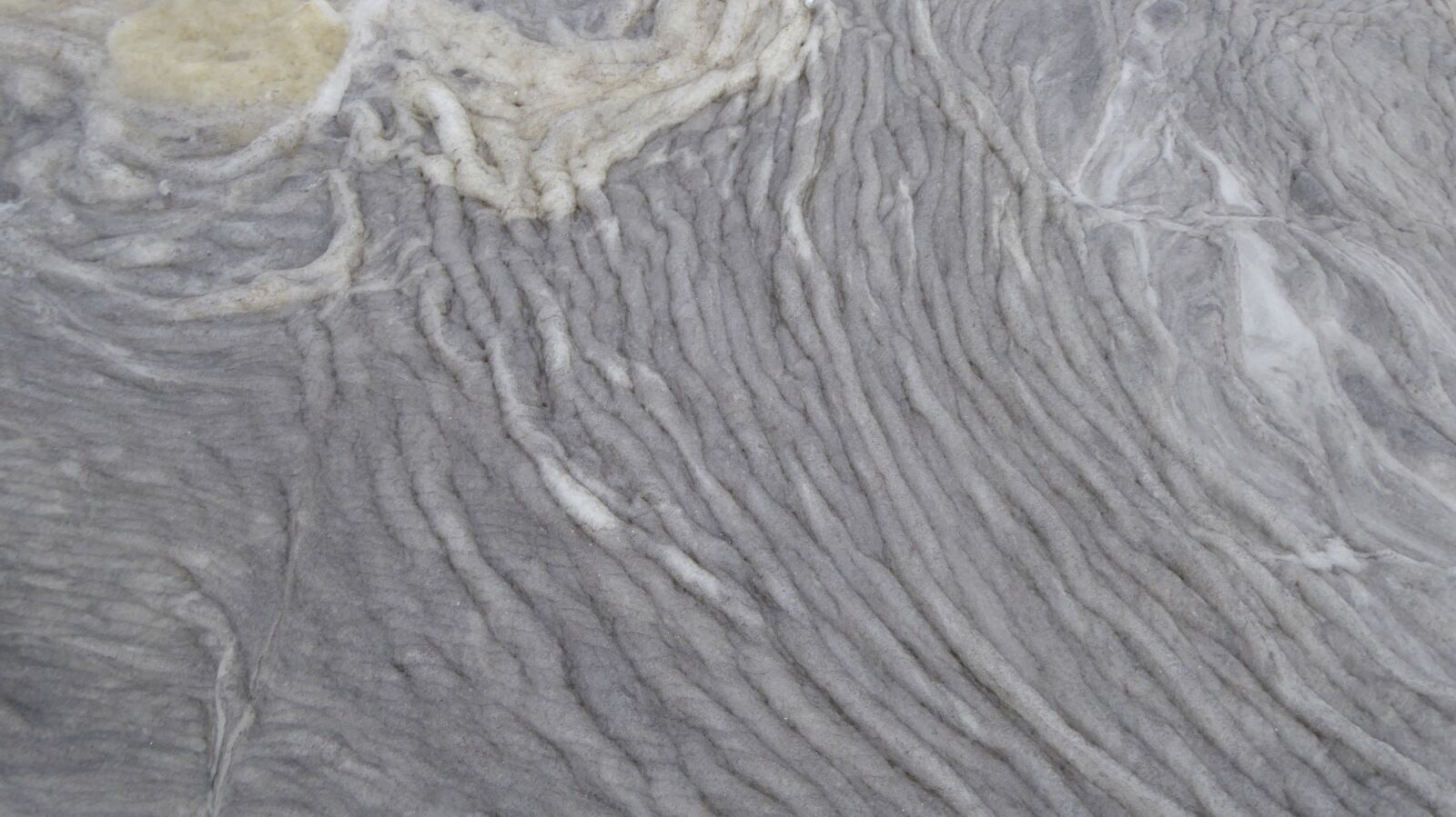Panasonic Lumix DMC-ZS40 (Lumix DMC-TZ60) sample photo. Structure, texture, pattern photography