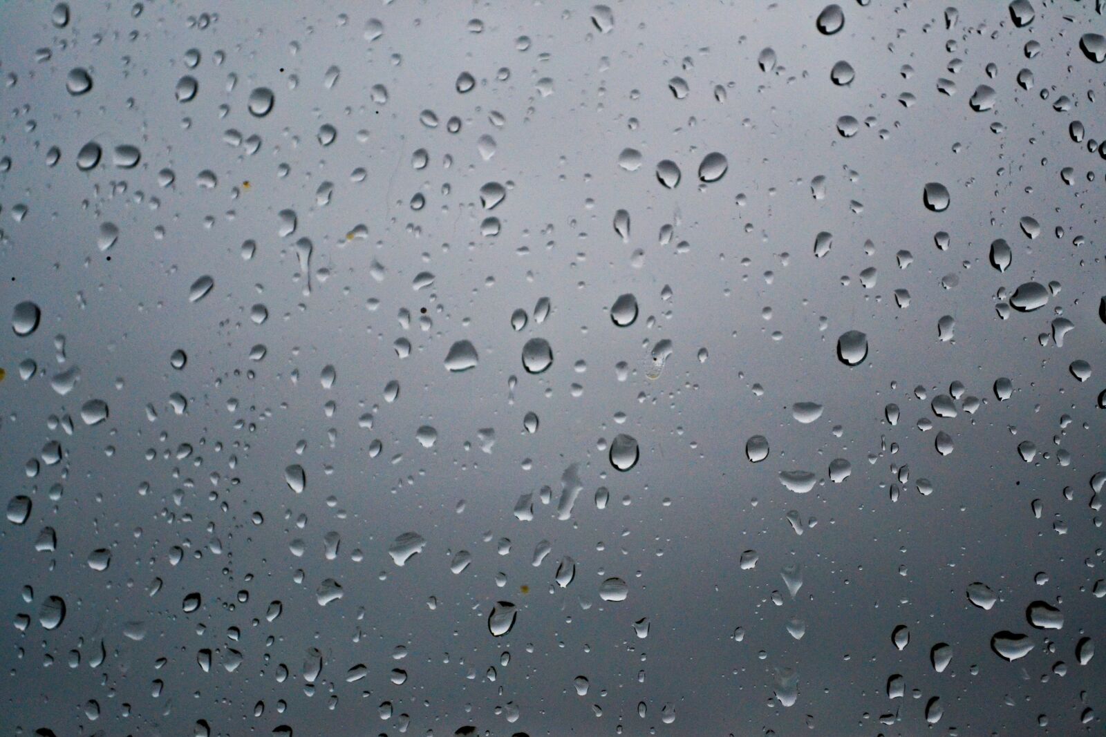 Nikon D3100 sample photo. Drop, rain, glass photography