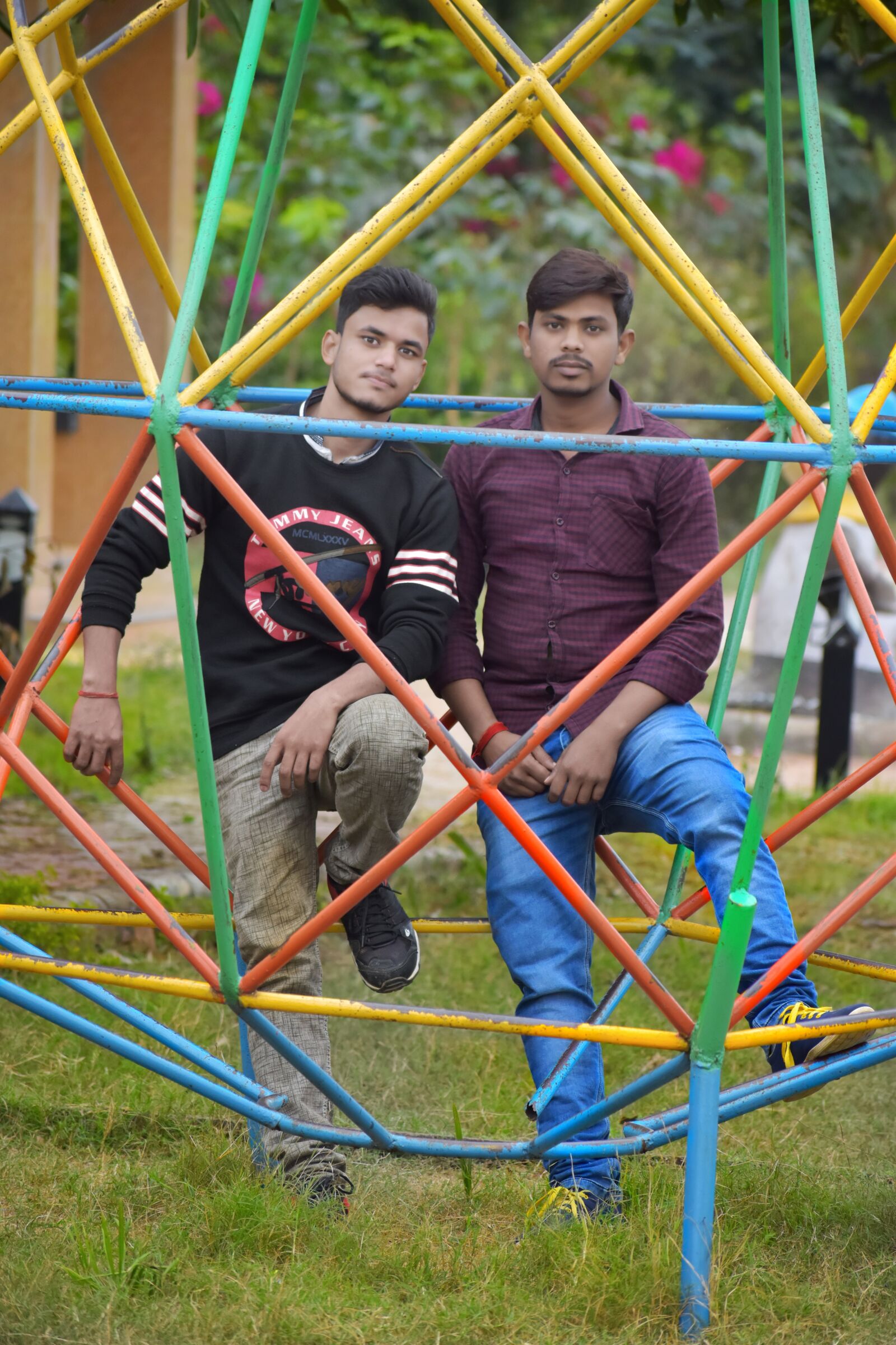 Nikon D5600 sample photo. New, nature, photos photography