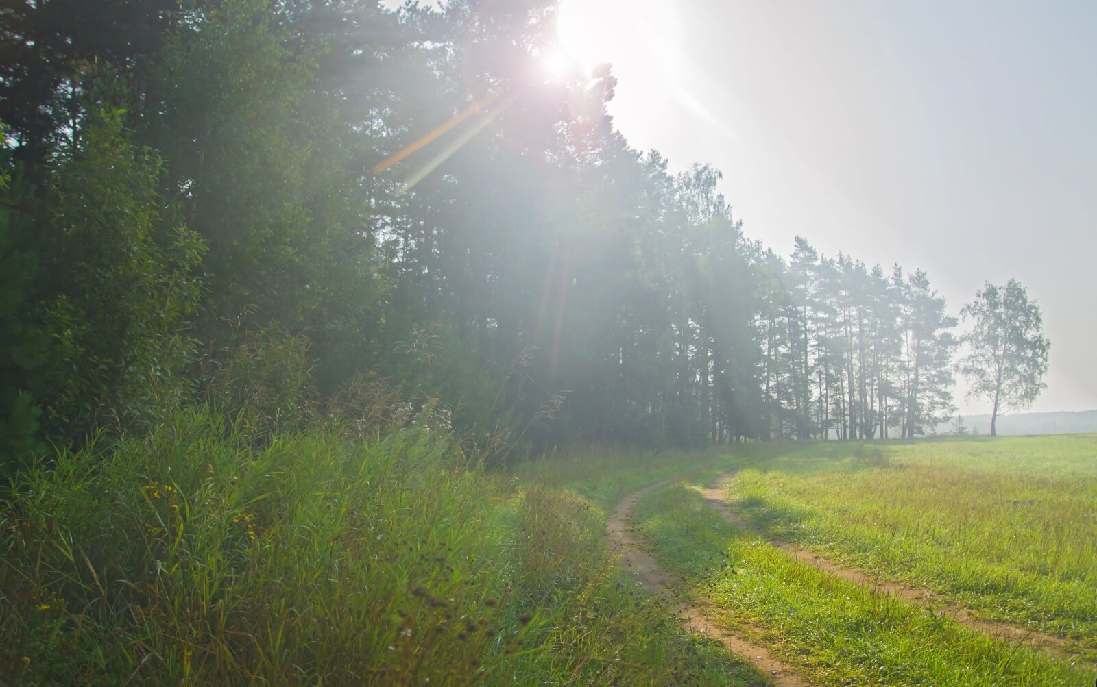 Sony Alpha DSLR-A550 sample photo. Landscape, summer, morning photography