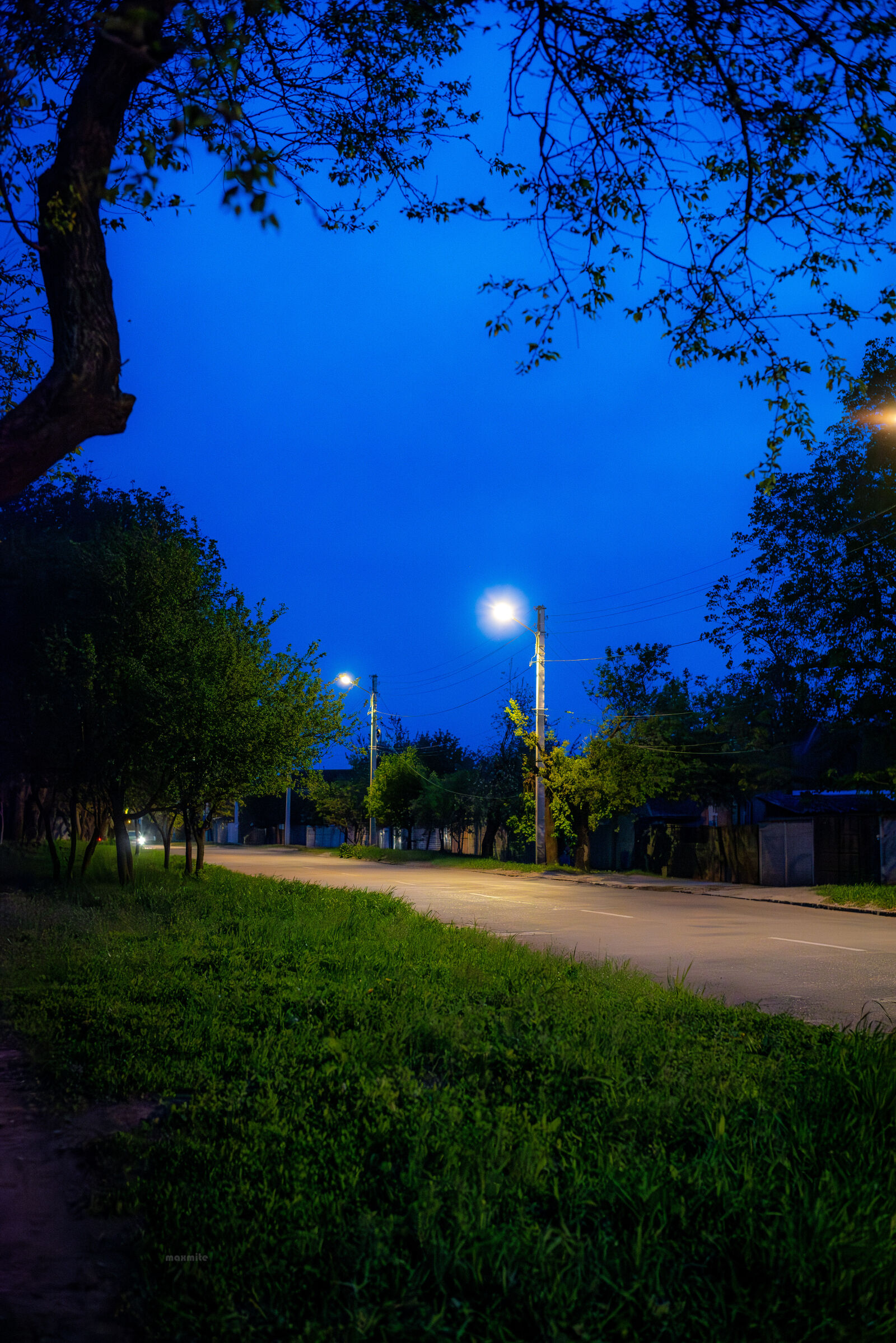 Nikon D750 + Nikon AF-S Nikkor 50mm F1.8G sample photo