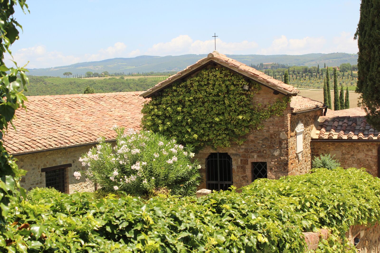 Canon EOS 600D (Rebel EOS T3i / EOS Kiss X5) sample photo. Banfi, tuscany, italy landscape photography