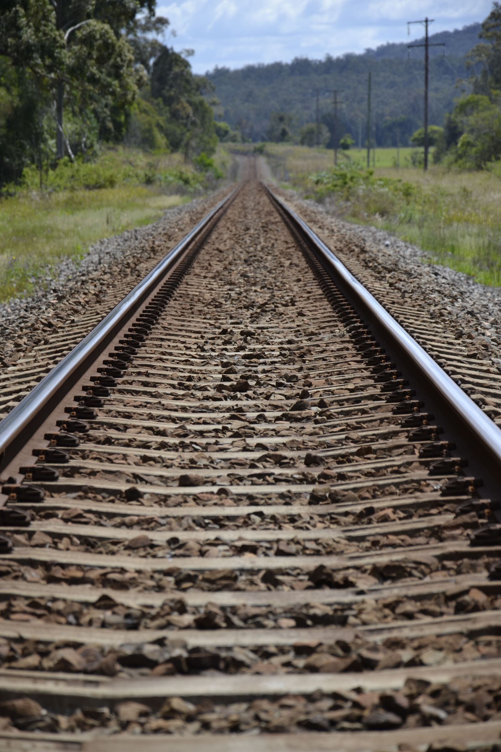 Nikon D3100 sample photo. Train, track, rails photography