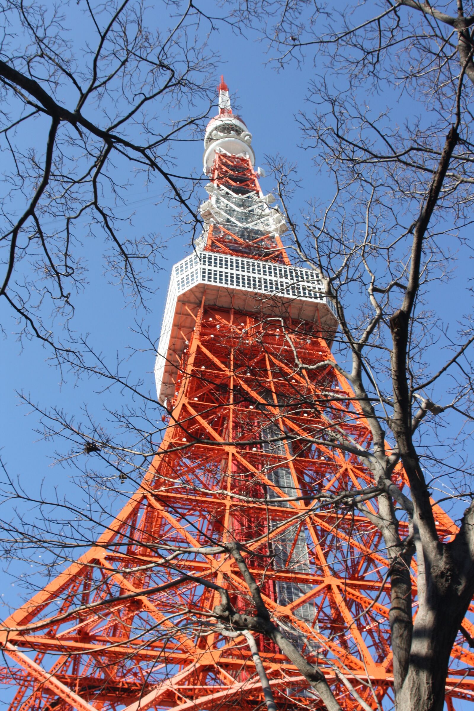 Canon EOS 1000D (EOS Digital Rebel XS / EOS Kiss F) sample photo. Tokyo, japan, tower photography