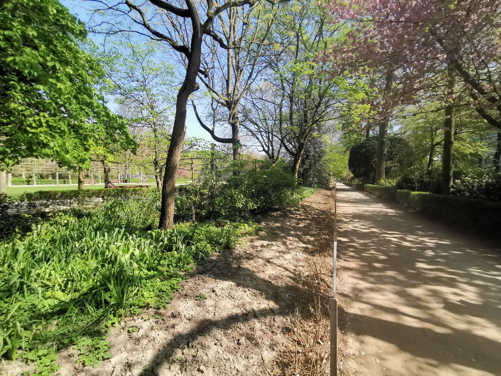 HUAWEI LYA-L29 sample photo. Park, nature, landscape photography
