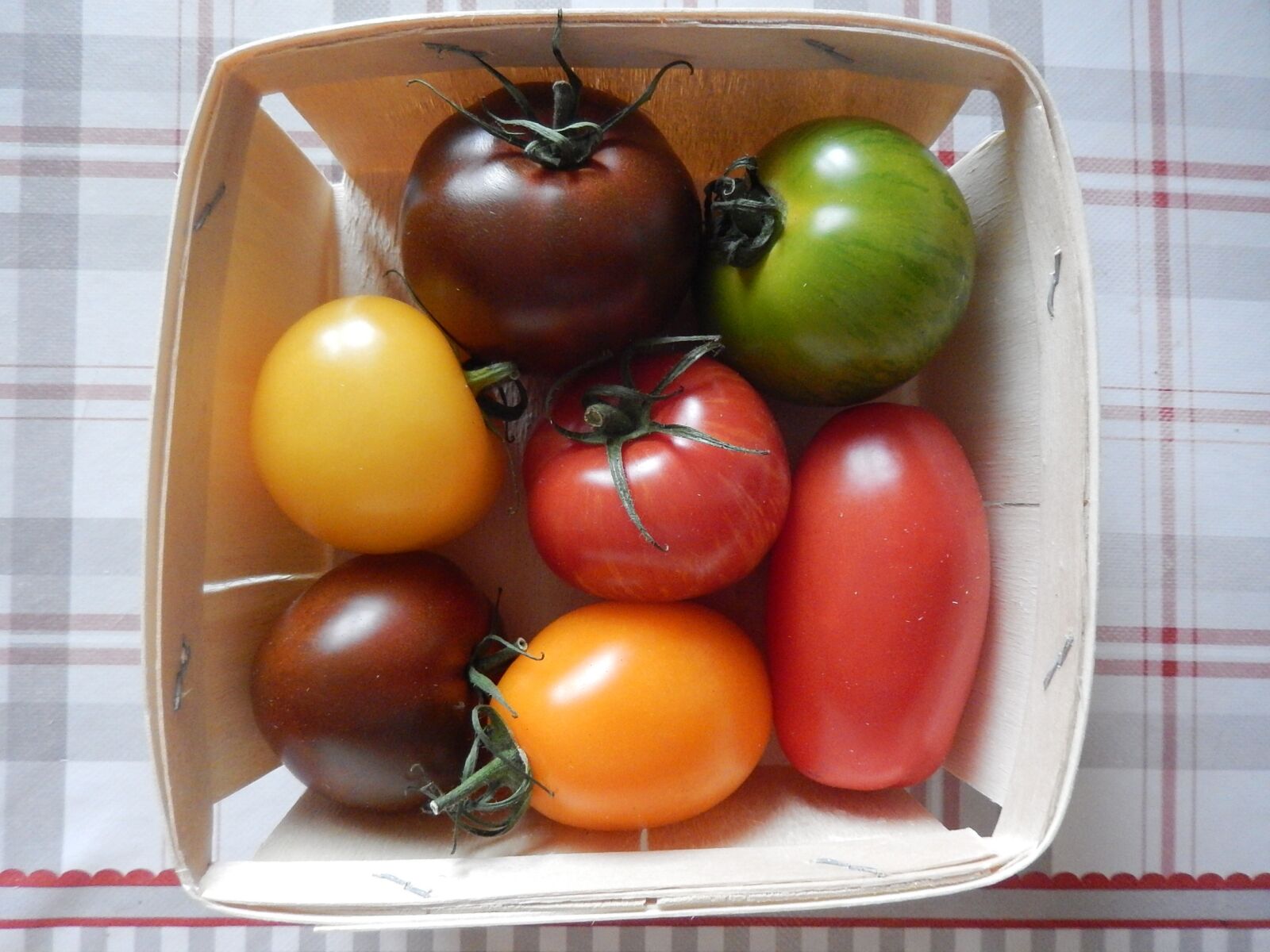 Nikon Coolpix S9500 sample photo. Tomatoes, garden, power photography