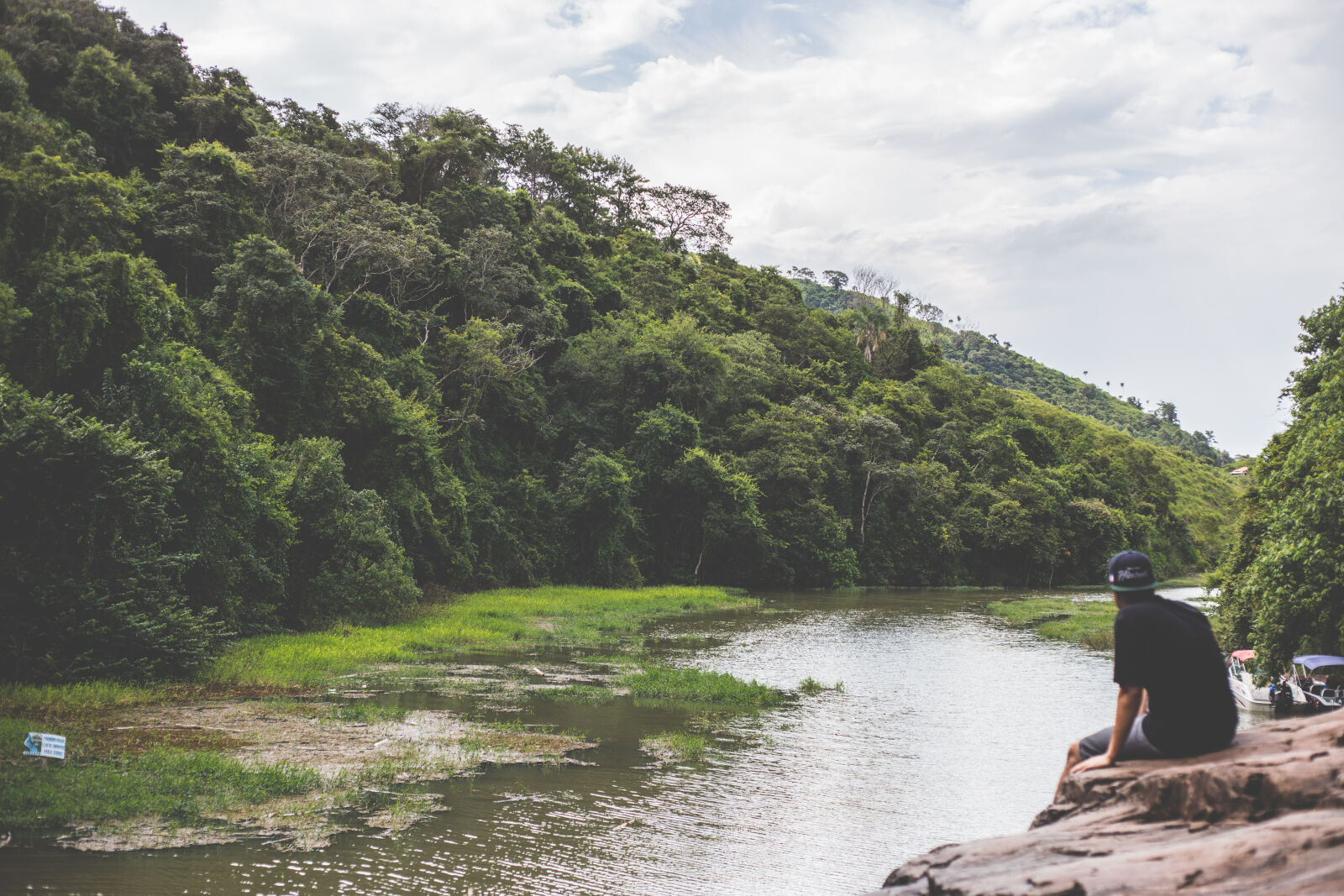 Canon EOS 6D + Canon EF 50mm F1.8 II sample photo. Forest, river, stream, trees photography