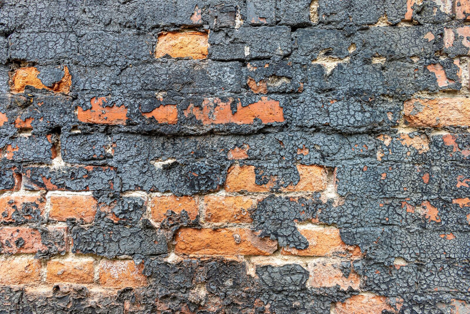 Canon EOS 80D + Canon EF-S 18-55mm F3.5-5.6 IS STM sample photo. Wall, brick, structure photography