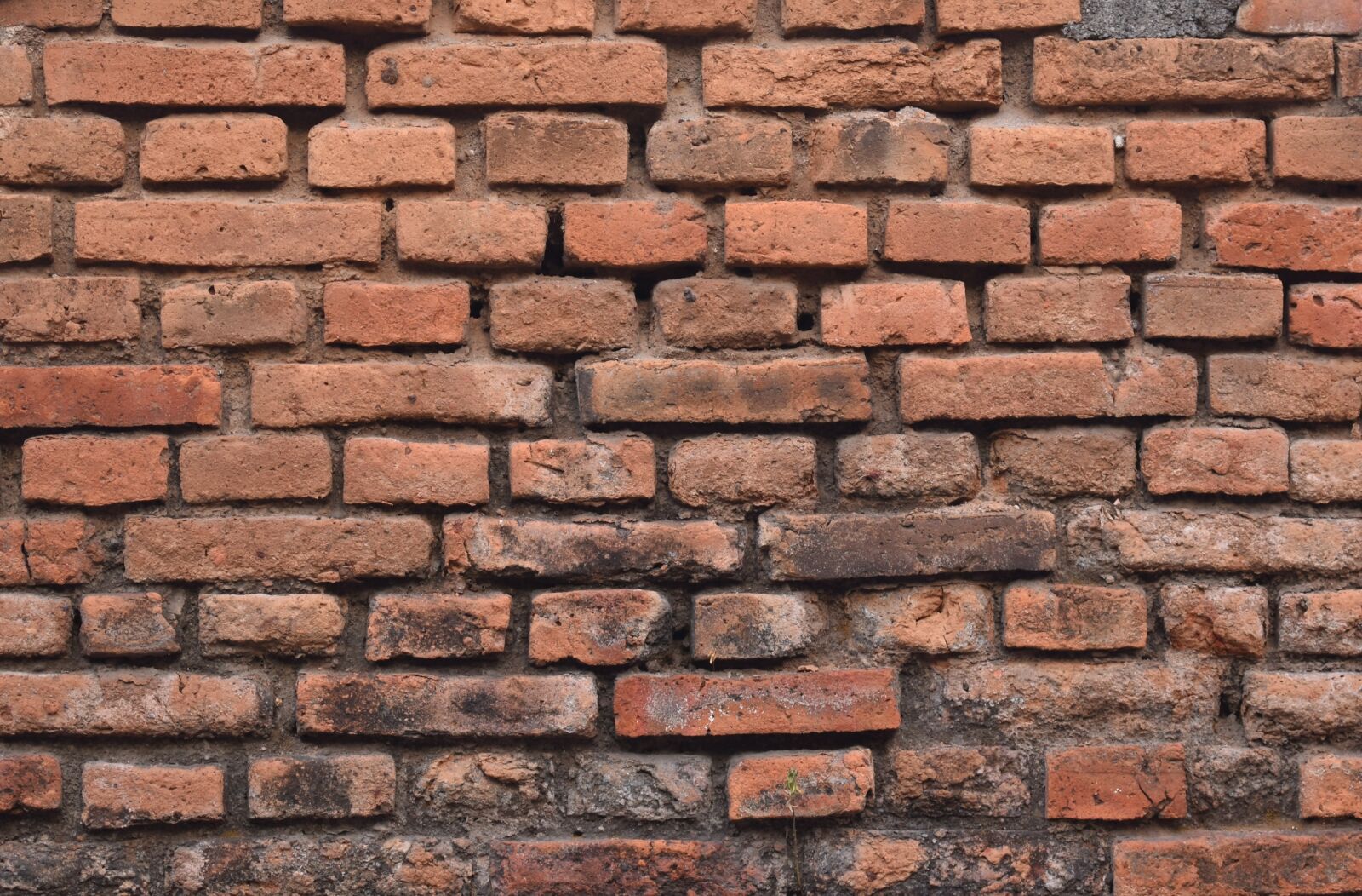 Nikon D3400 sample photo. Brick, wall, old photography