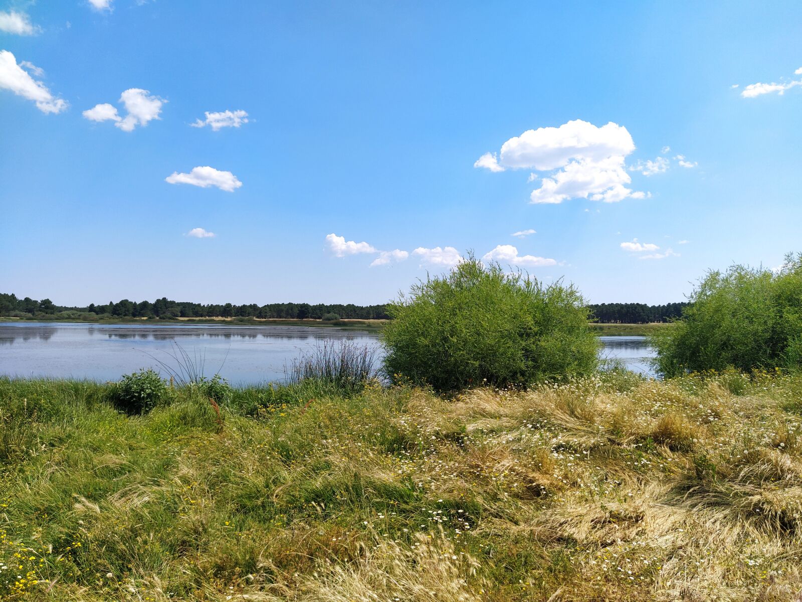 Xiaomi Mi A3 sample photo. Laguna, landscape, field photography