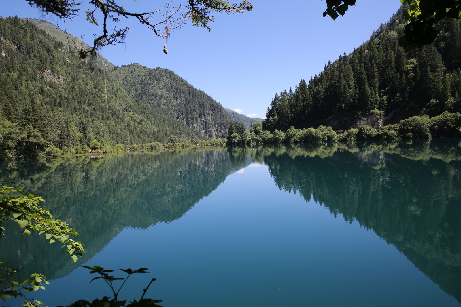 Canon EF 24-70mm F2.8L II USM sample photo. Reflection, water, jiuzhaigou photography